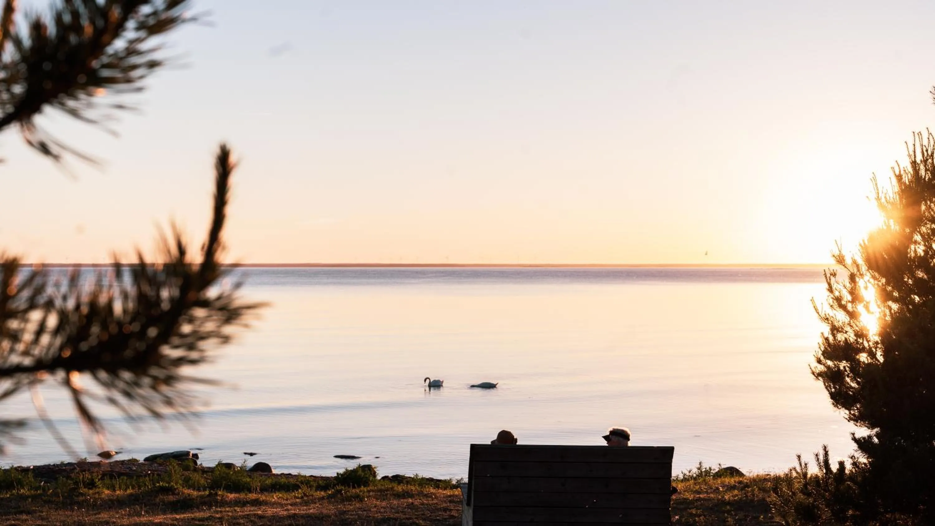 View (from property/room) in Stora Frögården