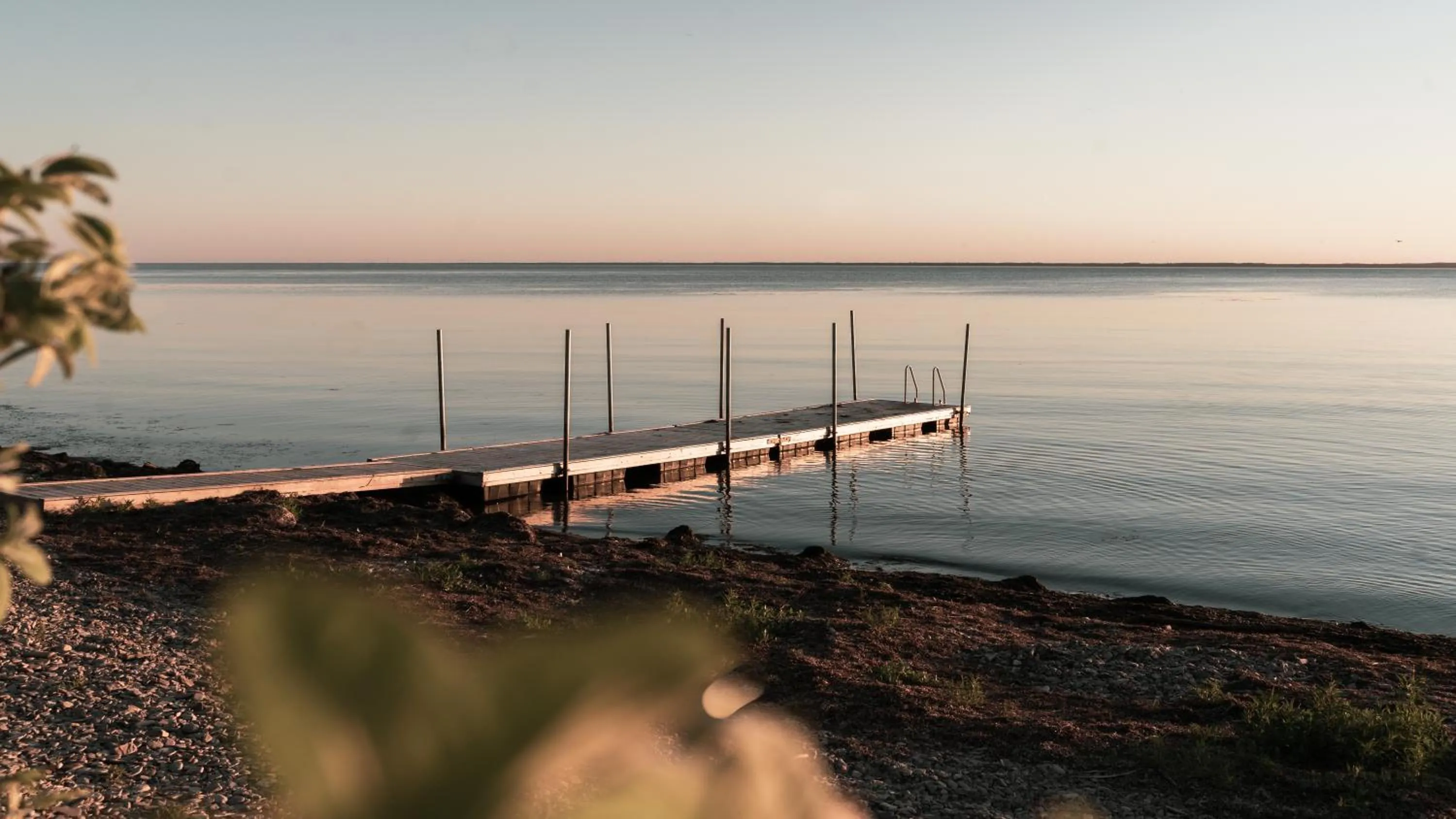 View (from property/room) in Stora Frögården