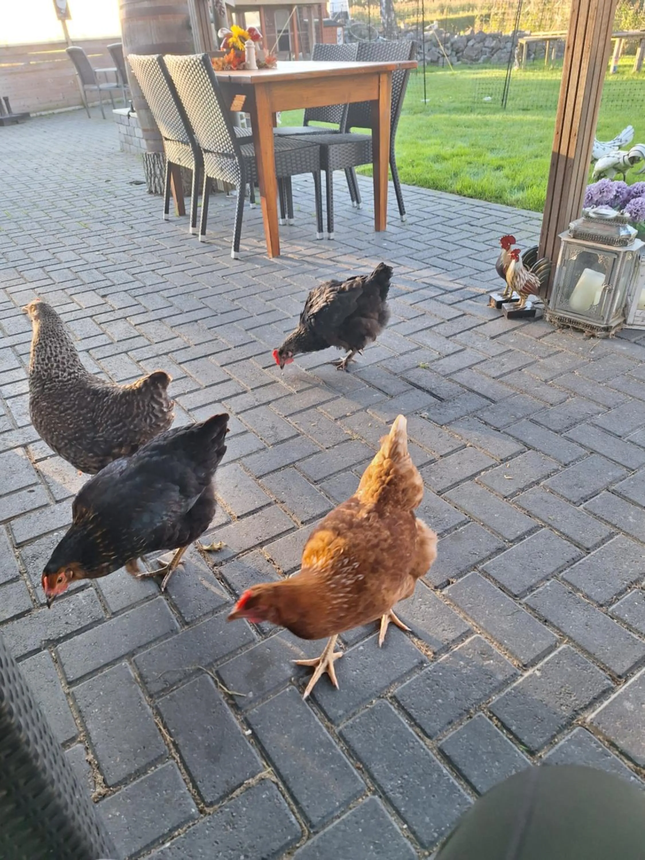 Het baken van Tholen