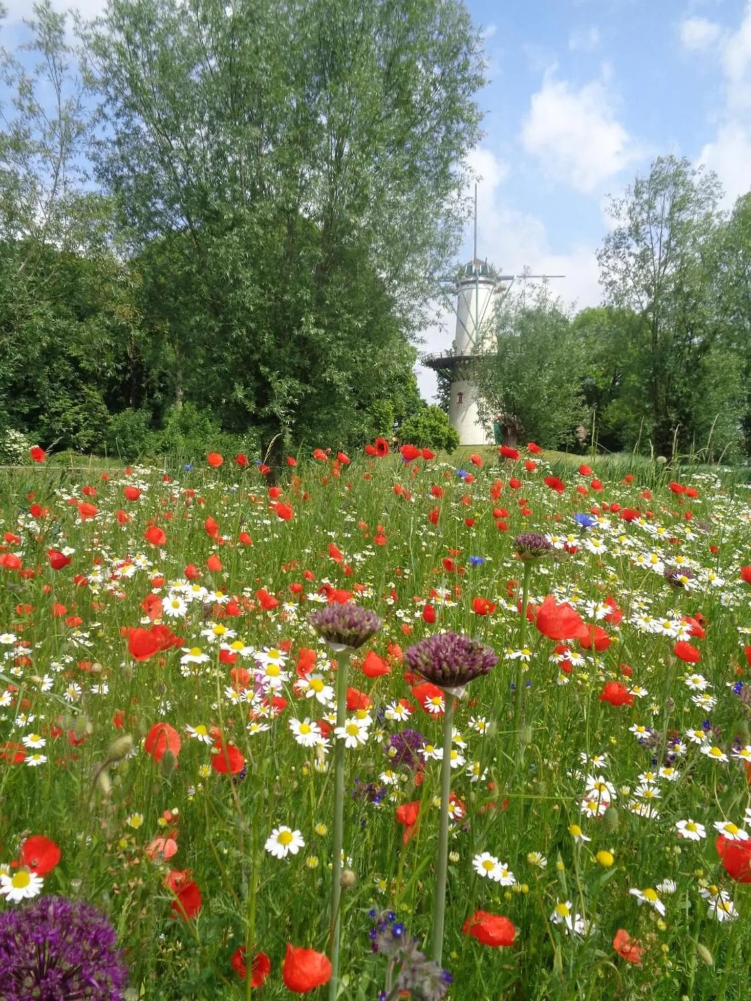 Het baken van Tholen