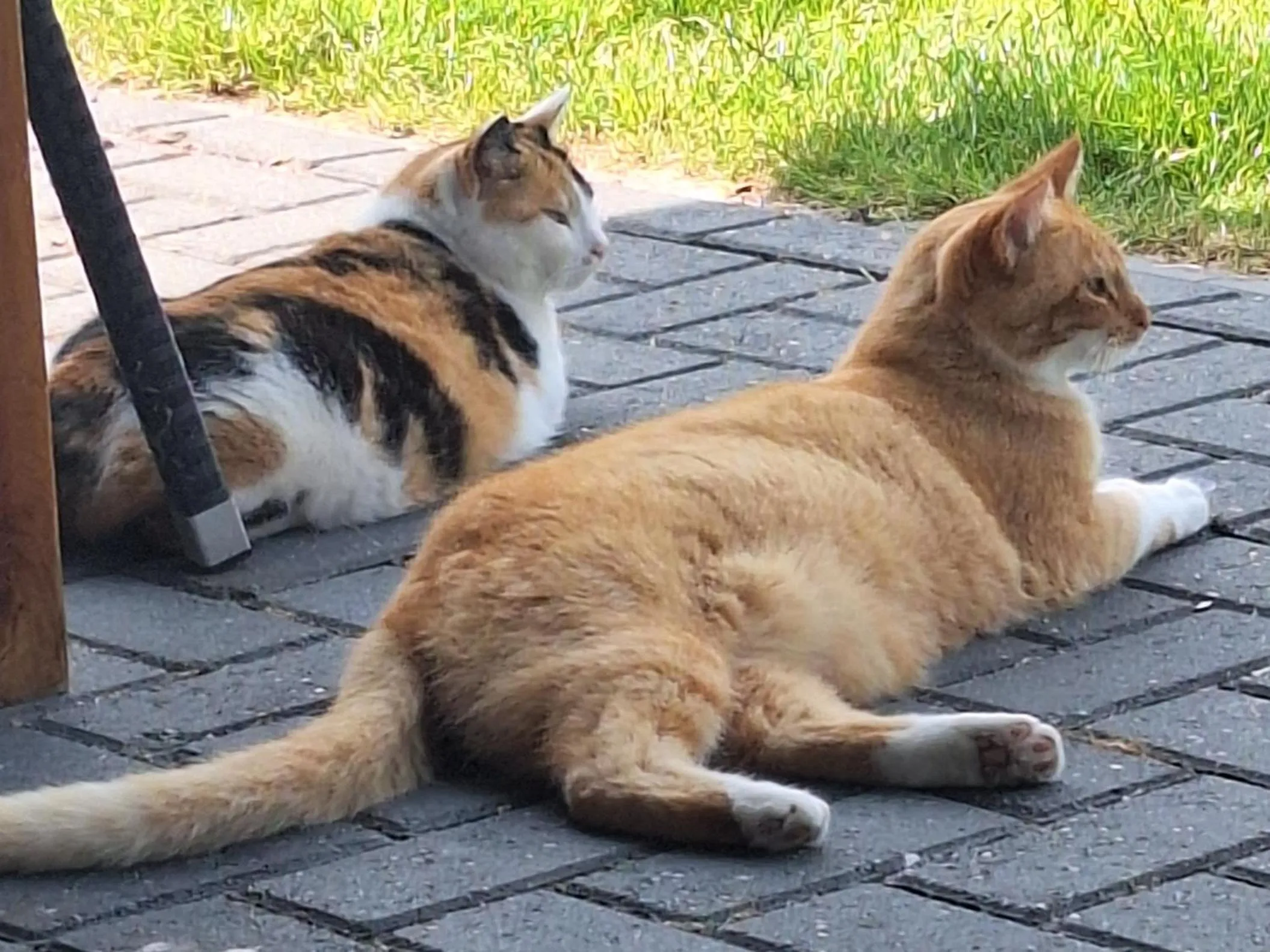 Het baken van Tholen