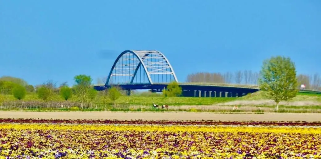 Het baken van Tholen