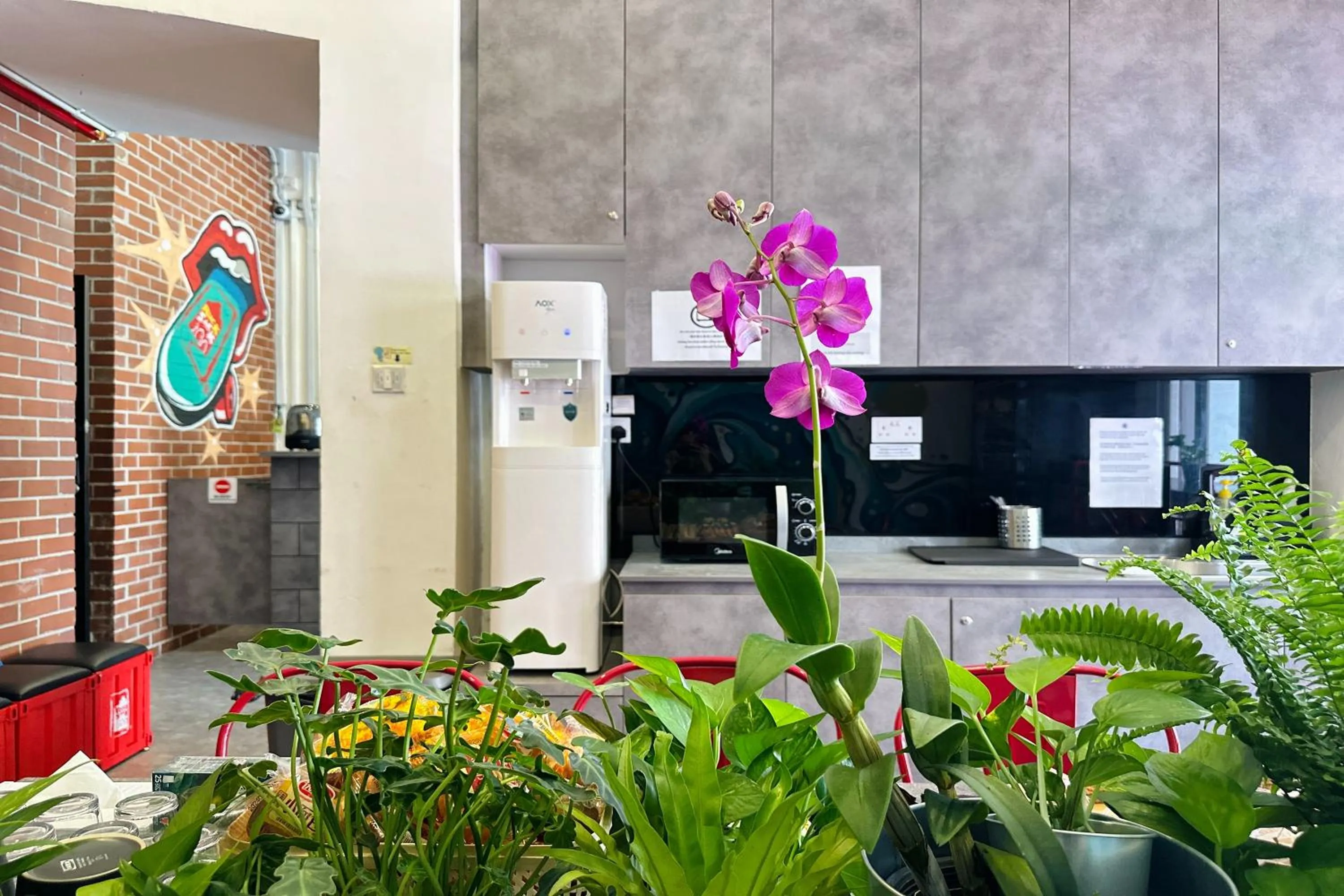 Lobby or reception in Rucksack Inn Temple Street