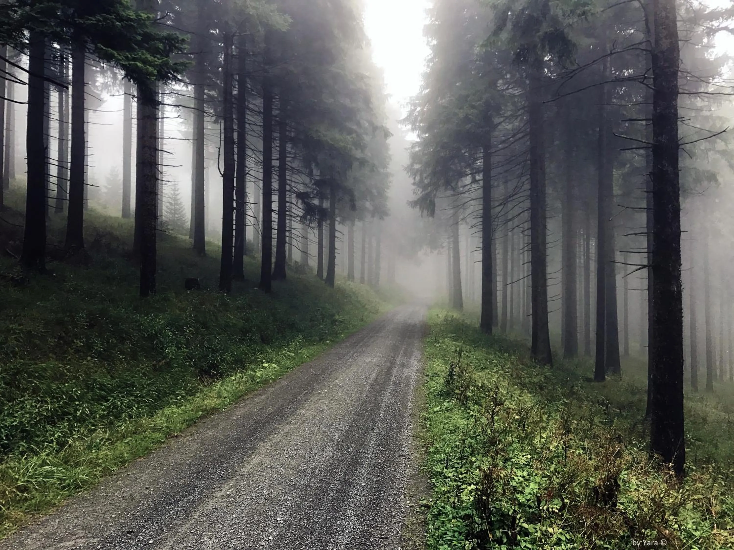 Hiking in Chalet & Apart Fichtelberger Blick