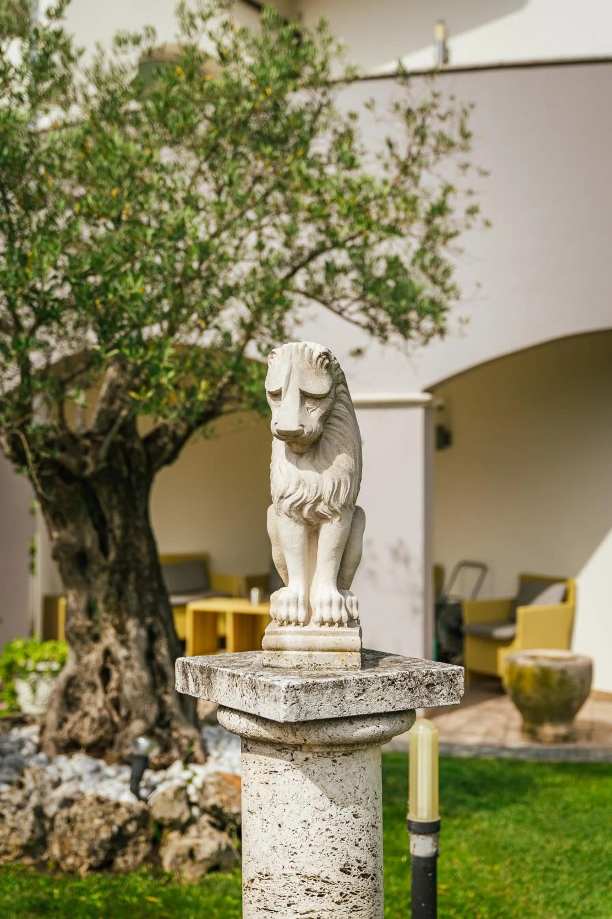 Garden in Hotel Arena