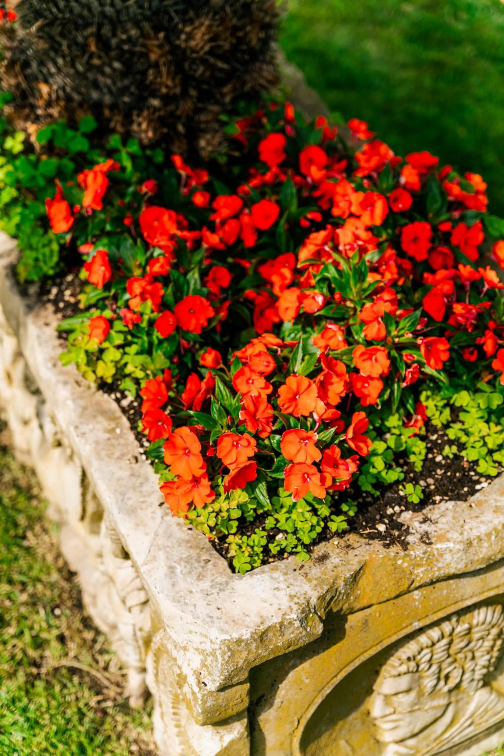 Garden in Hotel Arena