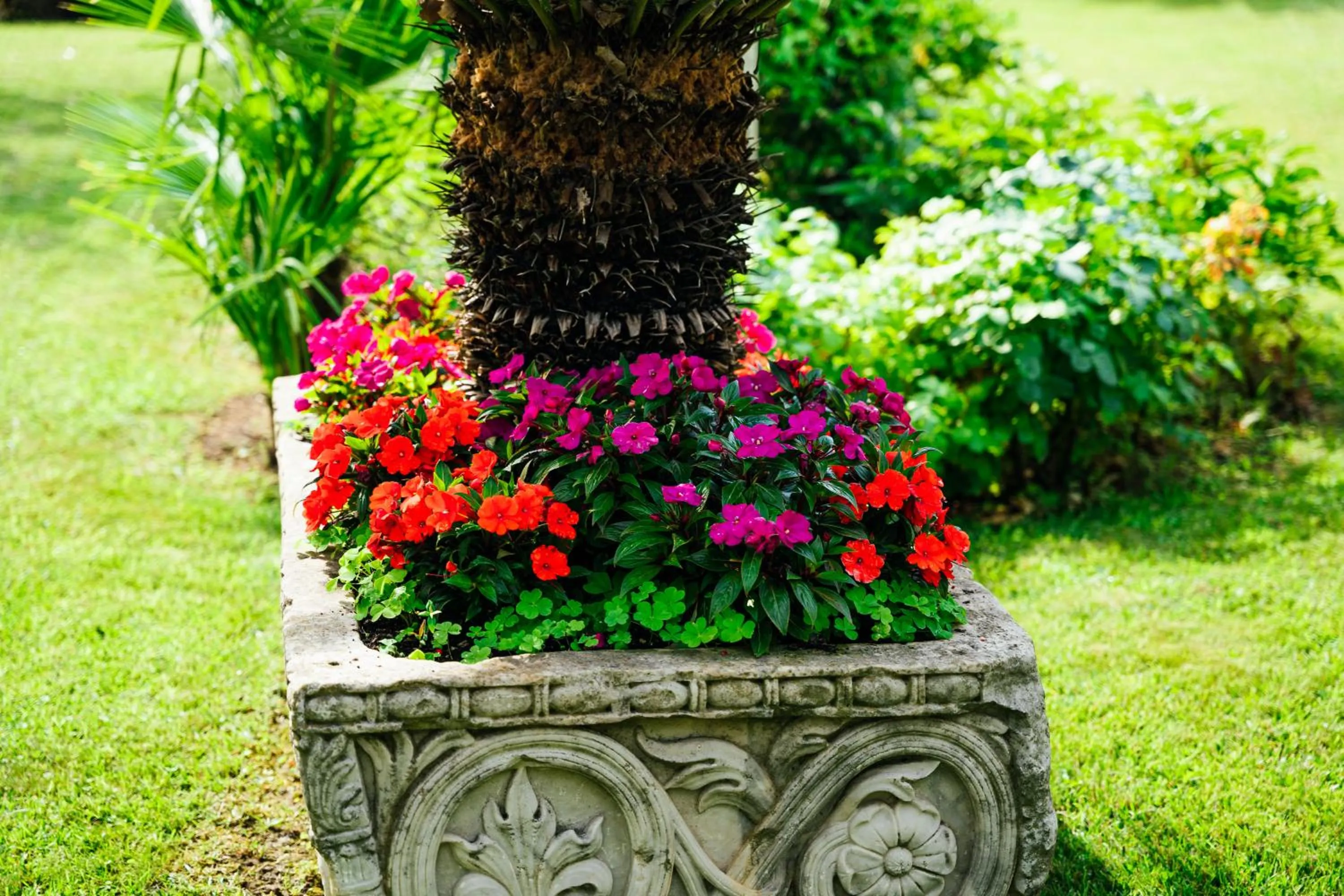 Garden in Hotel Arena