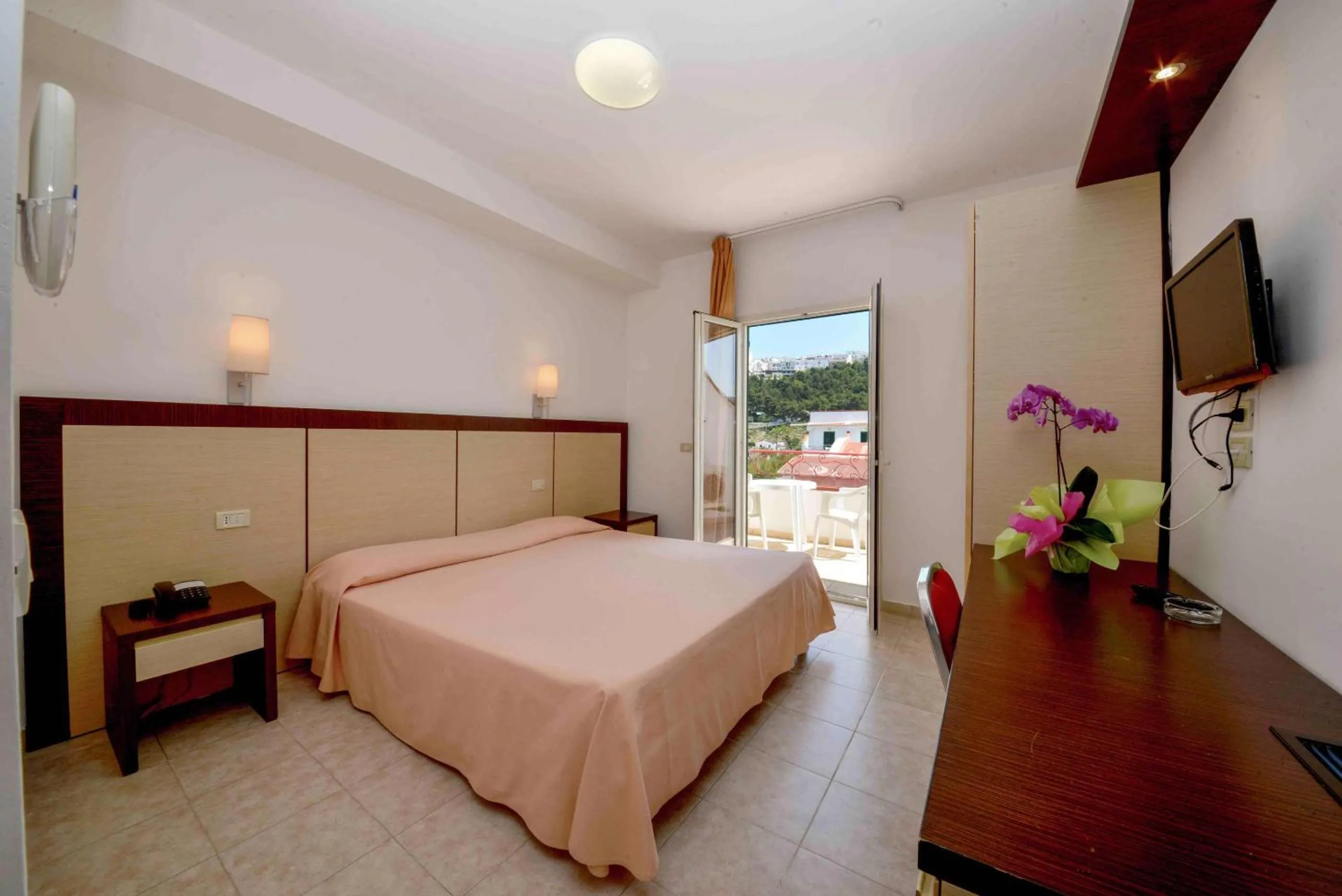 Photo of the whole room in Hotel D'Amato