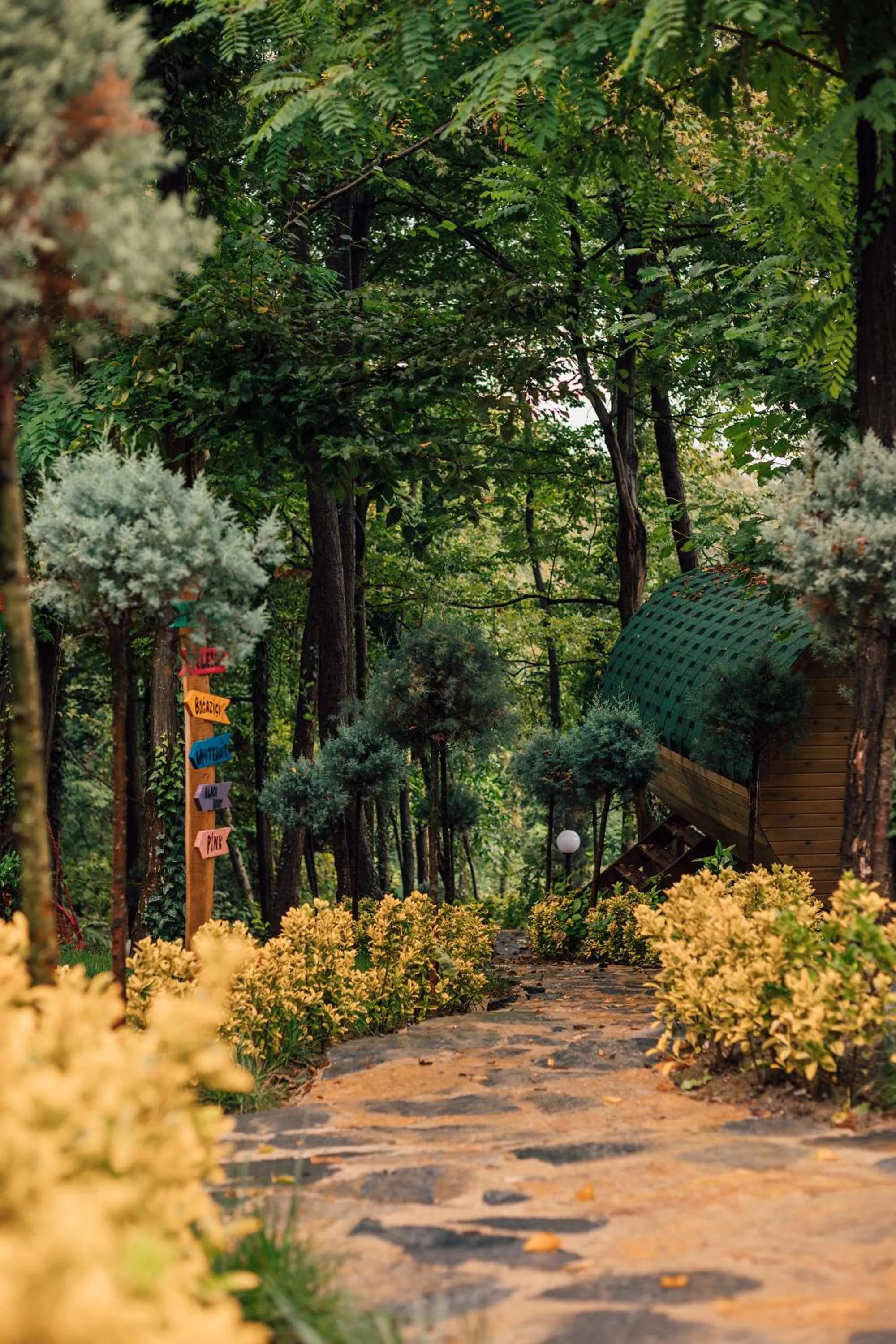 Property building in Sapanca Casamia Suit