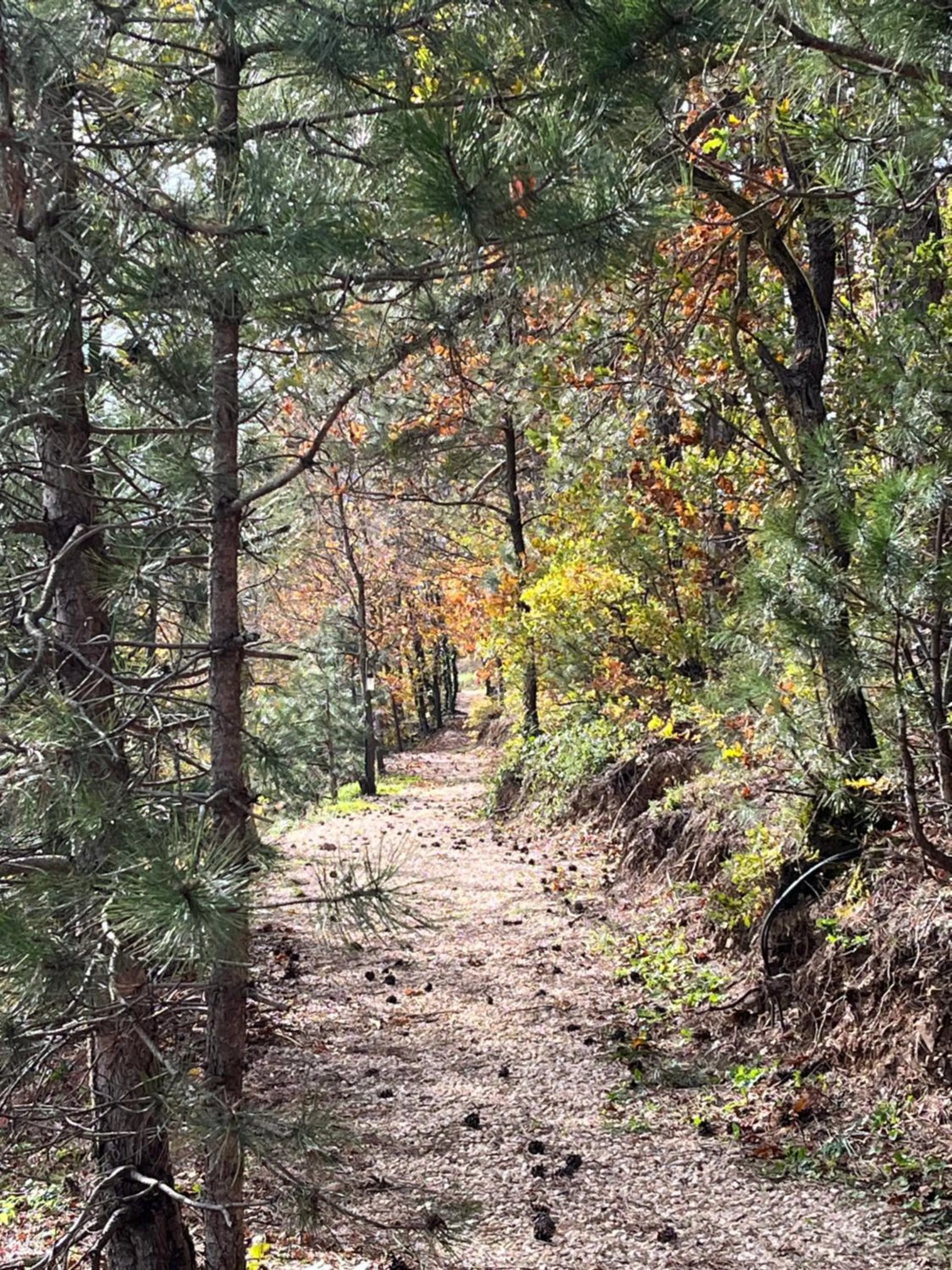 Hiking in Nefes Dağyenice Doğada