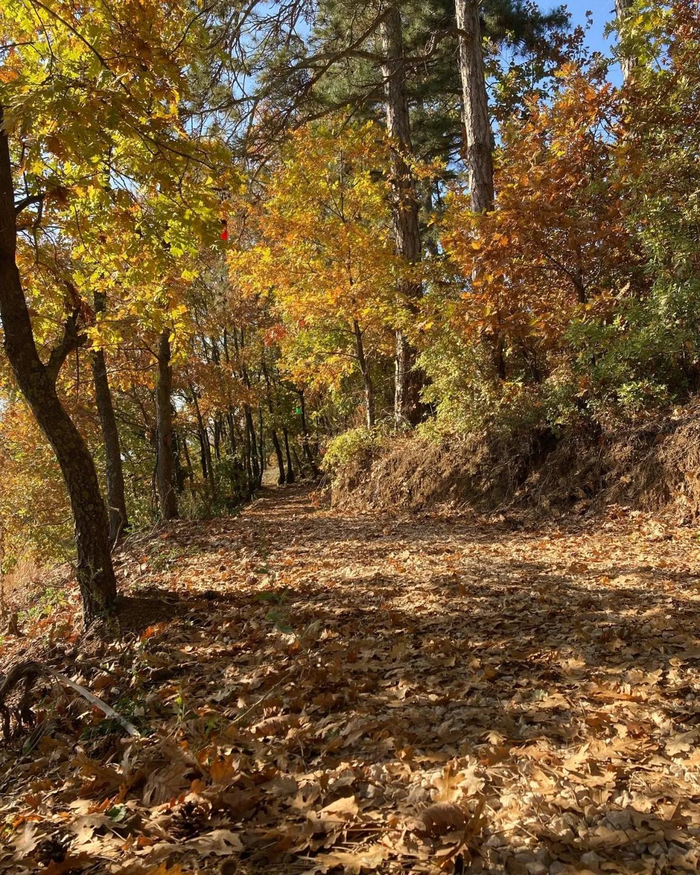 Day in Nefes Dağyenice Doğada