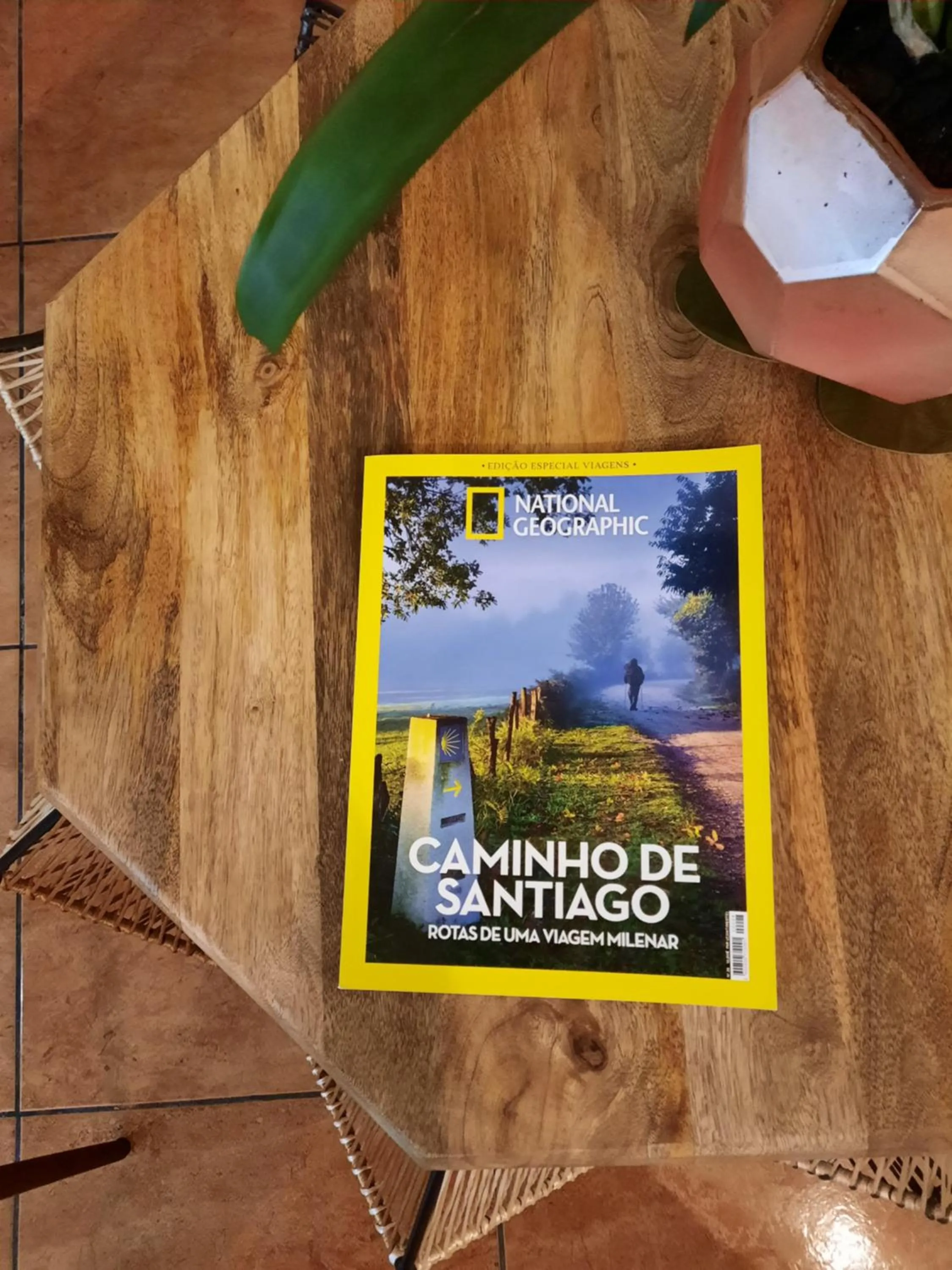 Decorative detail in Smiling Places - Guest House in Labruge