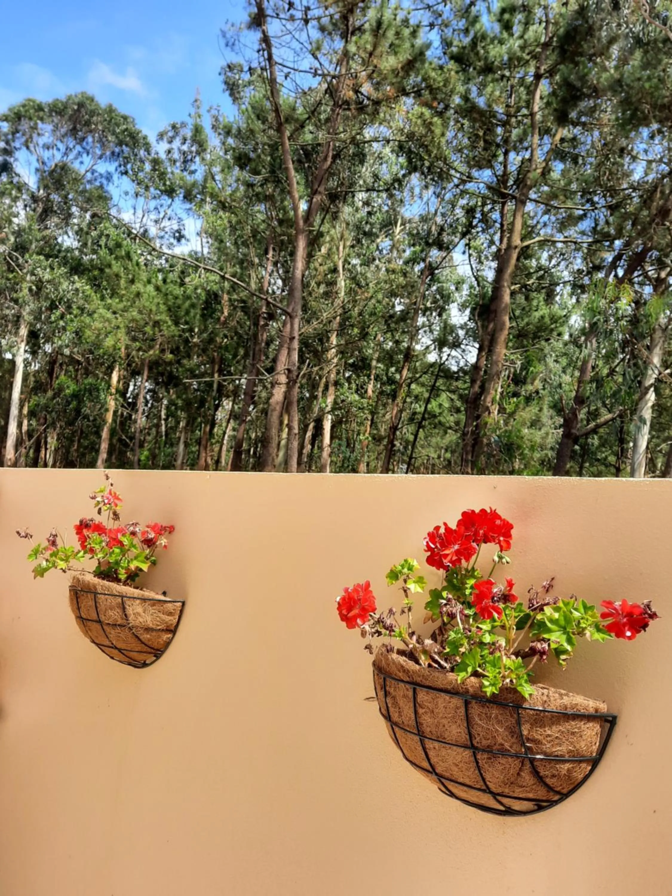 Balcony/Terrace in Smiling Places - Guest House in Labruge