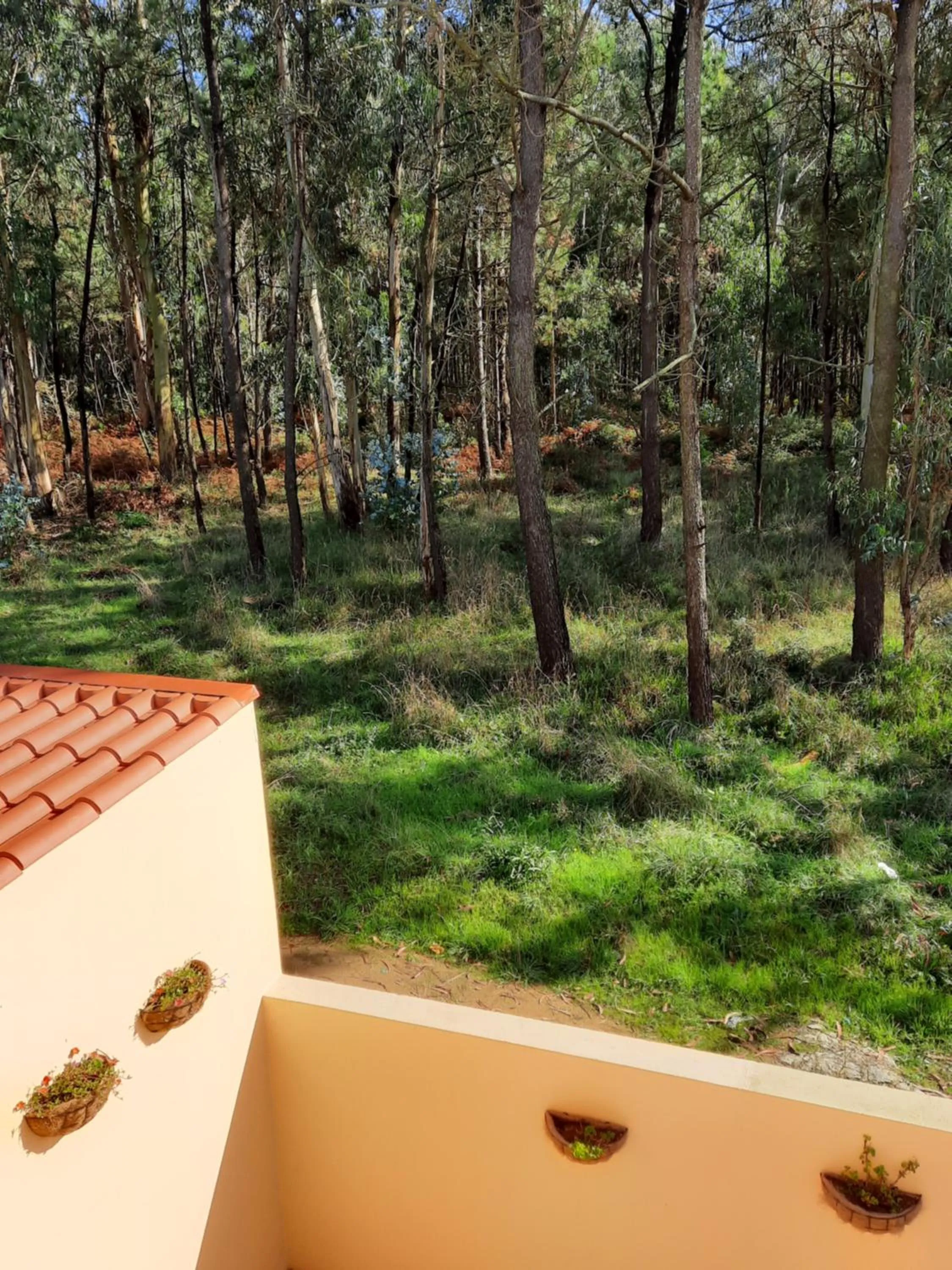 View (from property/room) in Smiling Places - Guest House in Labruge