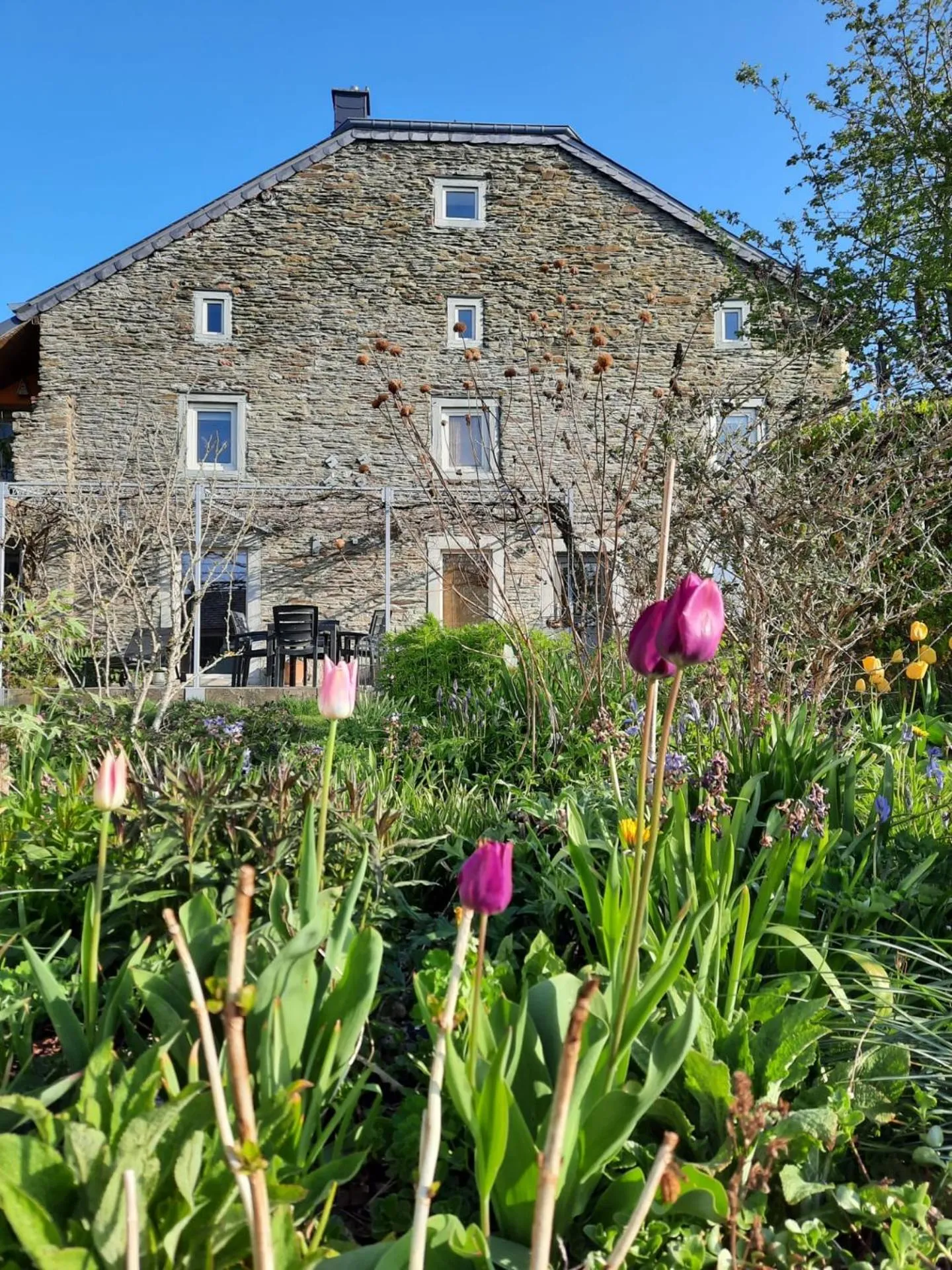La Vieille Forge B&B