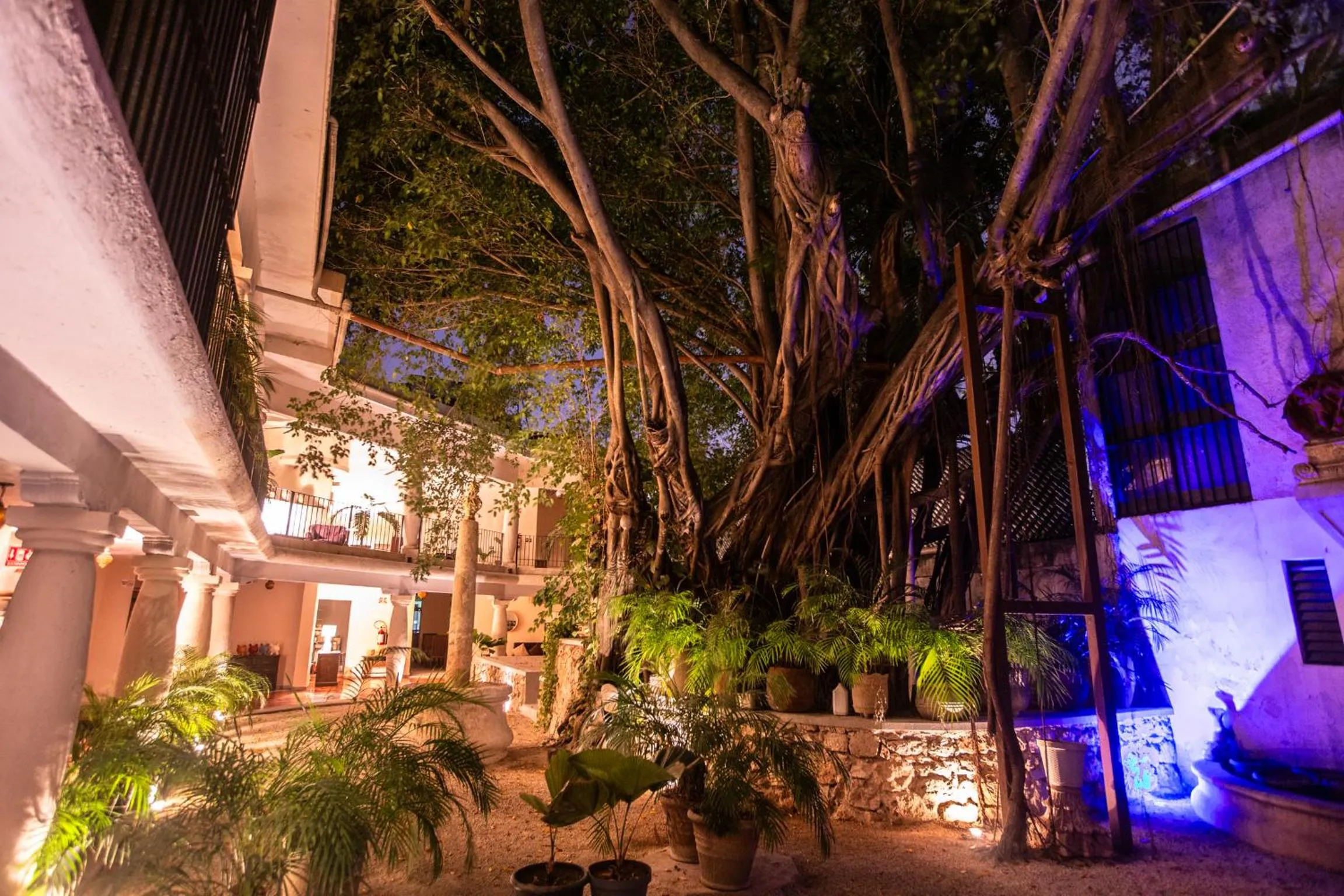 Patio in ACQUA IN BOCCA