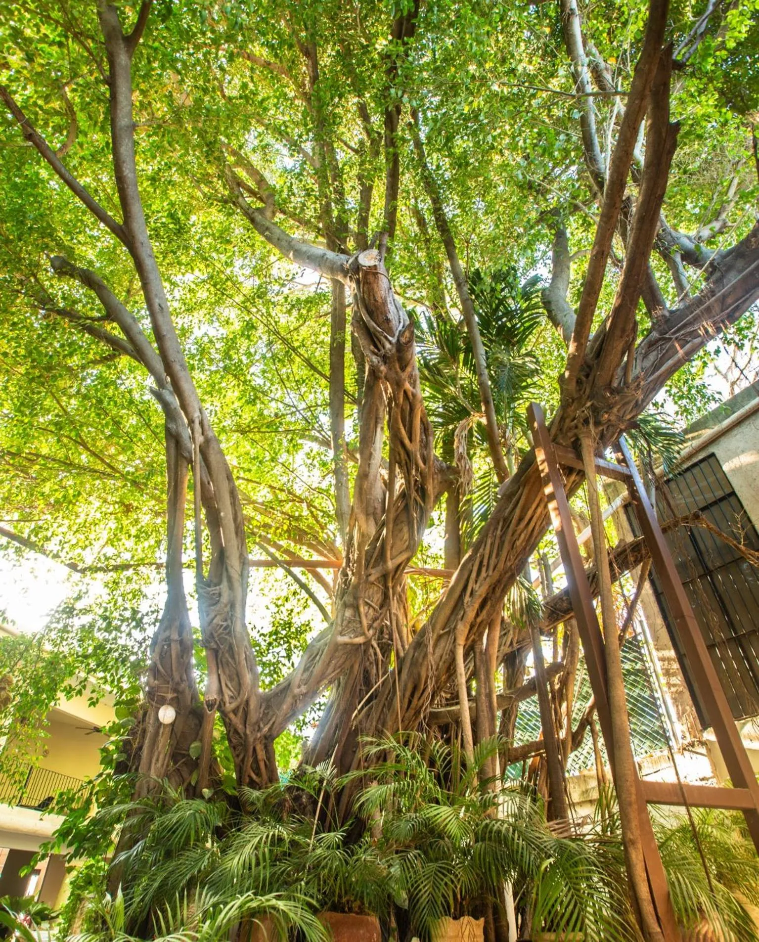 Patio in ACQUA IN BOCCA