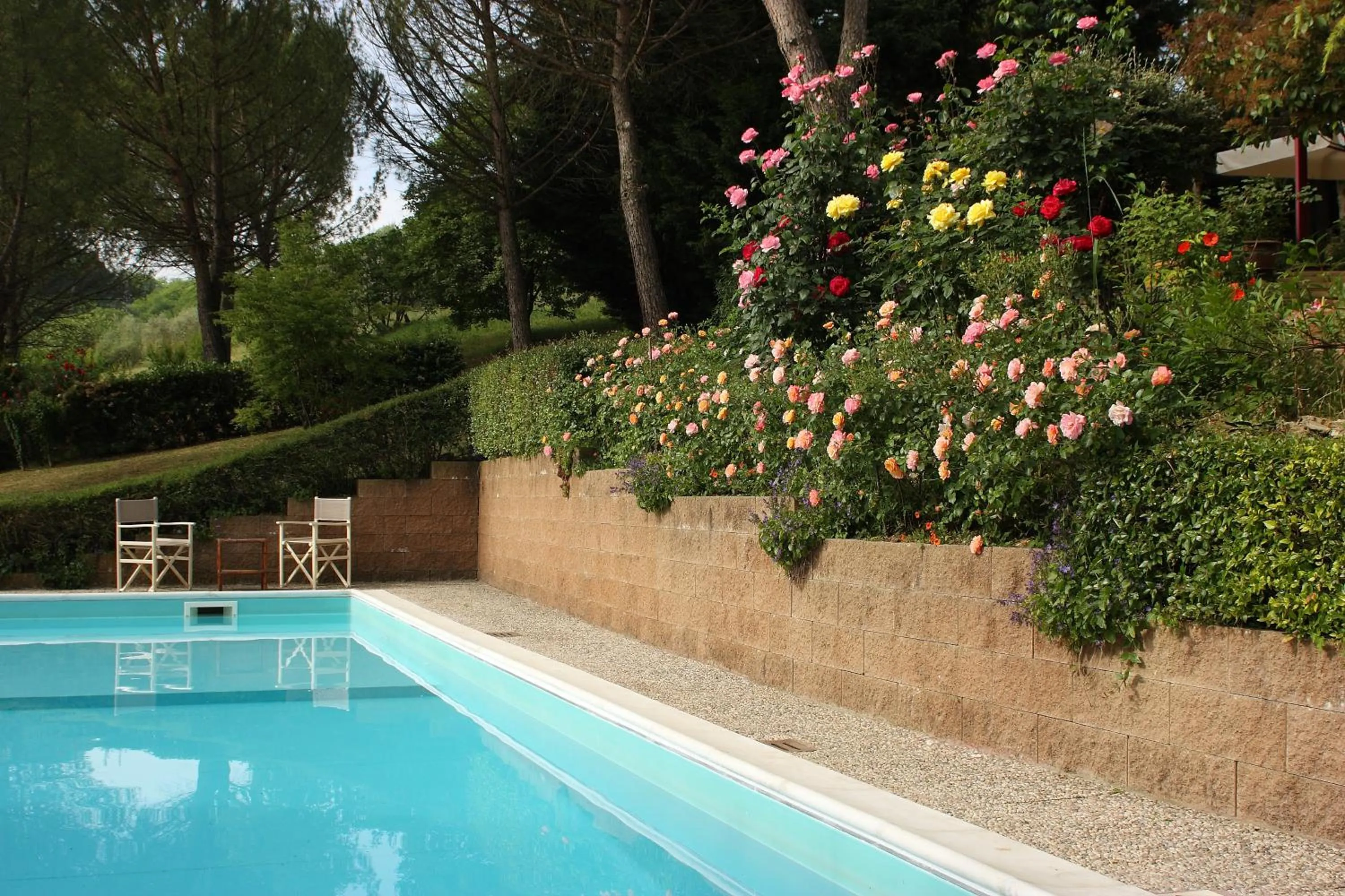 Pool view in Tenuta Il Burchio