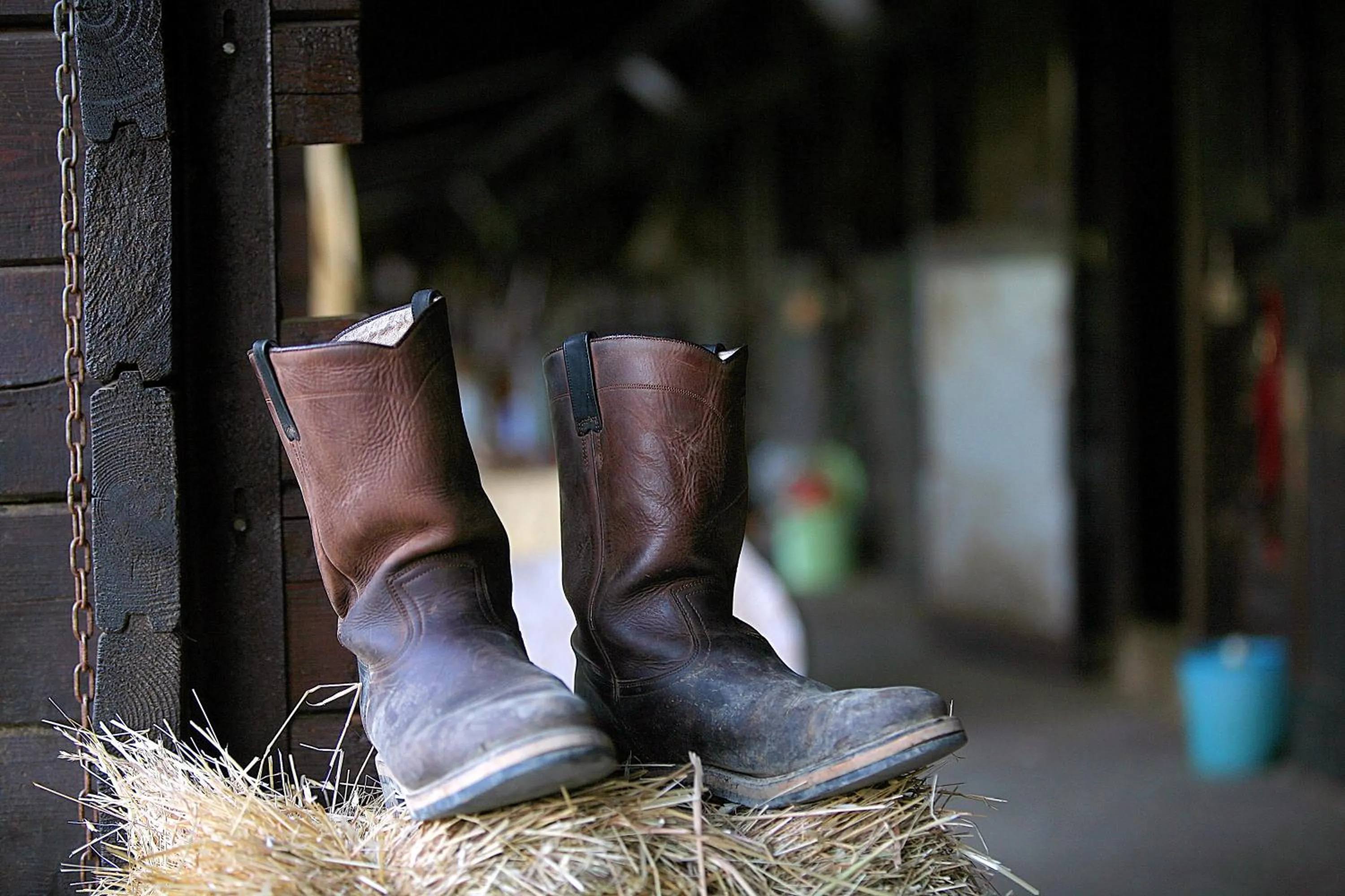 Decorative detail in Tenuta Il Burchio