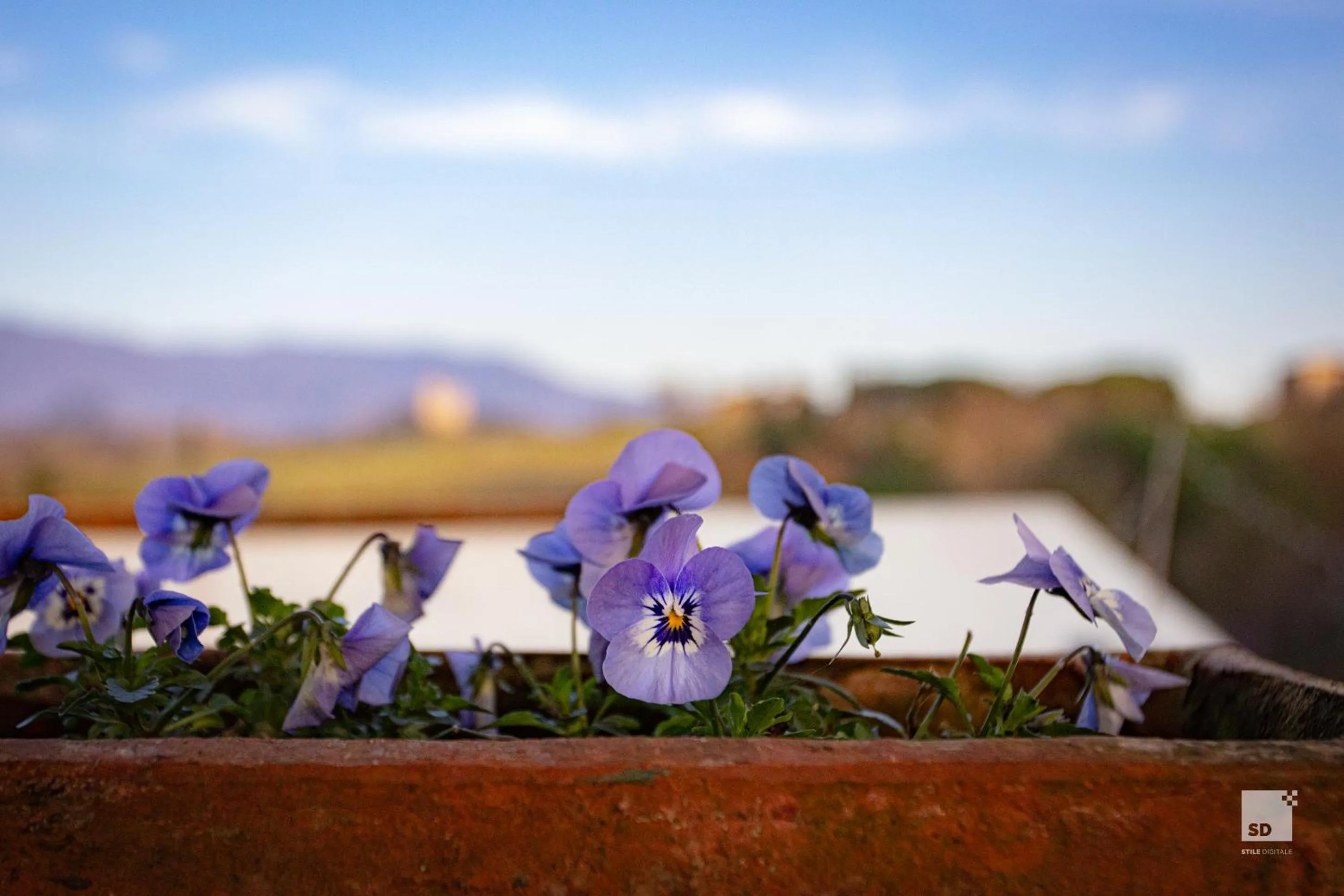 Spring in Tenuta Il Burchio