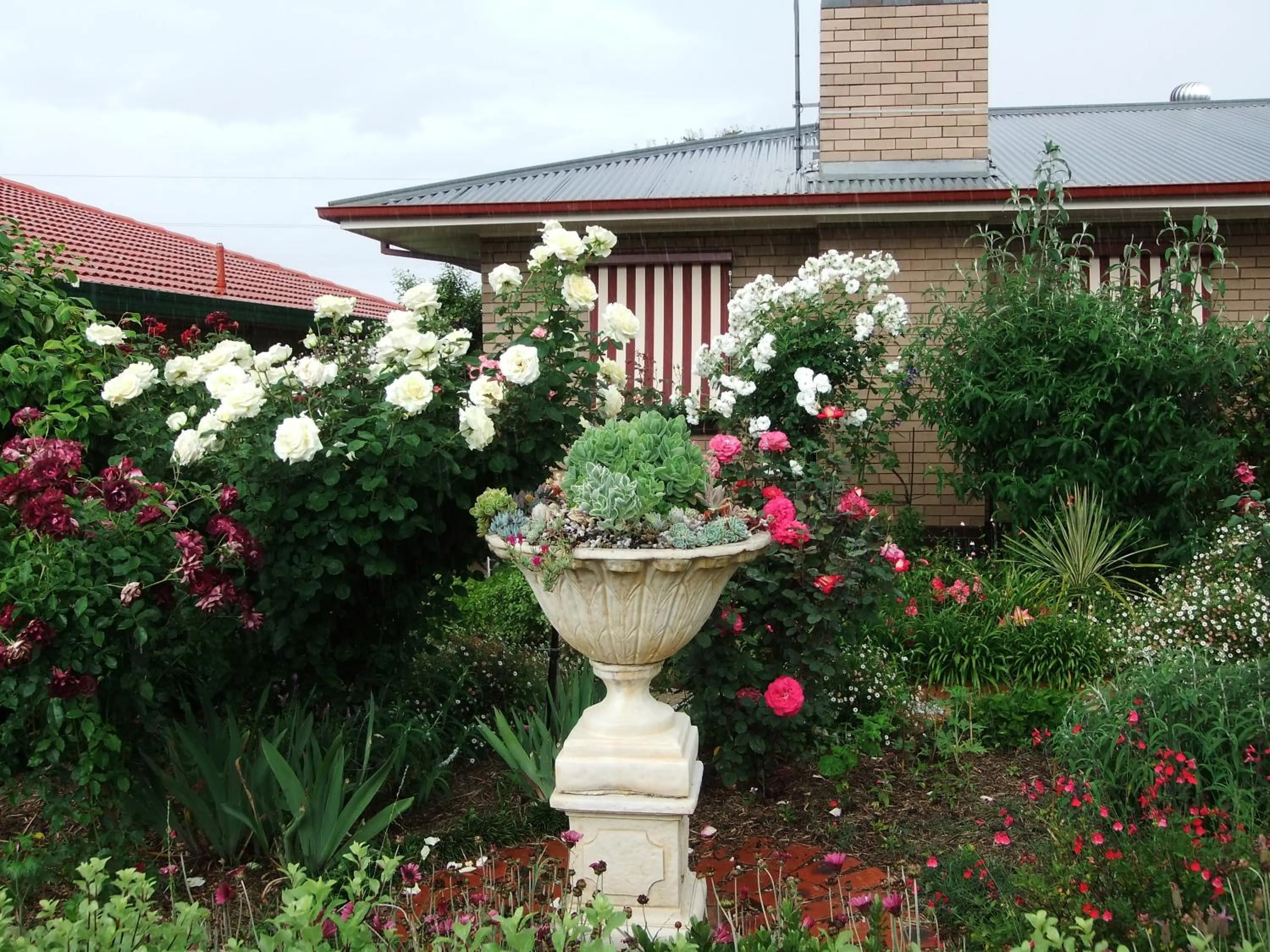 Natural landscape in Admurraya House Bed & Breakfast