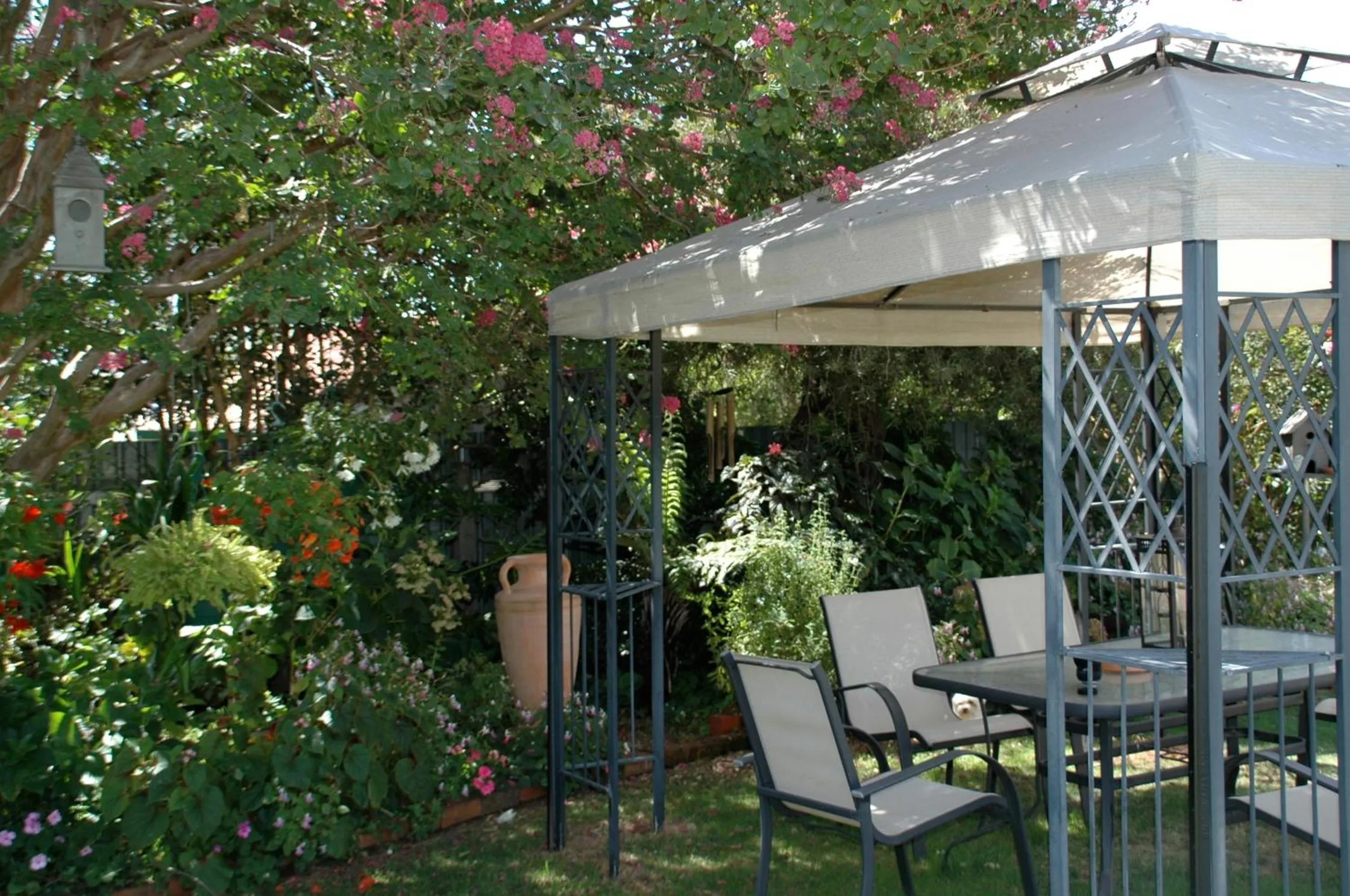 Patio in Admurraya House Bed & Breakfast