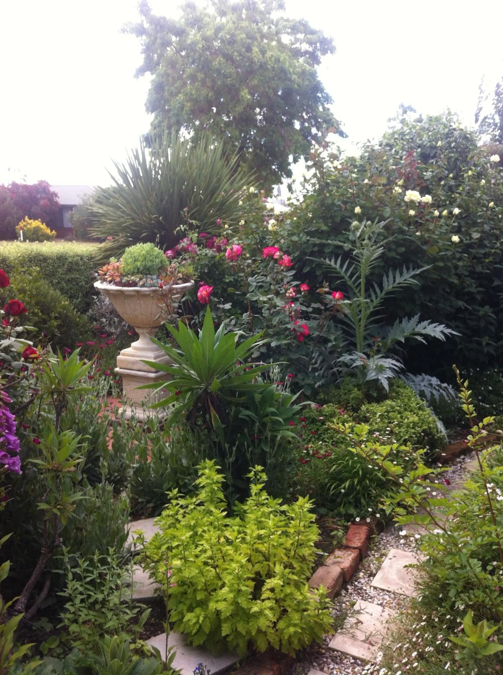 Garden in Admurraya House Bed & Breakfast