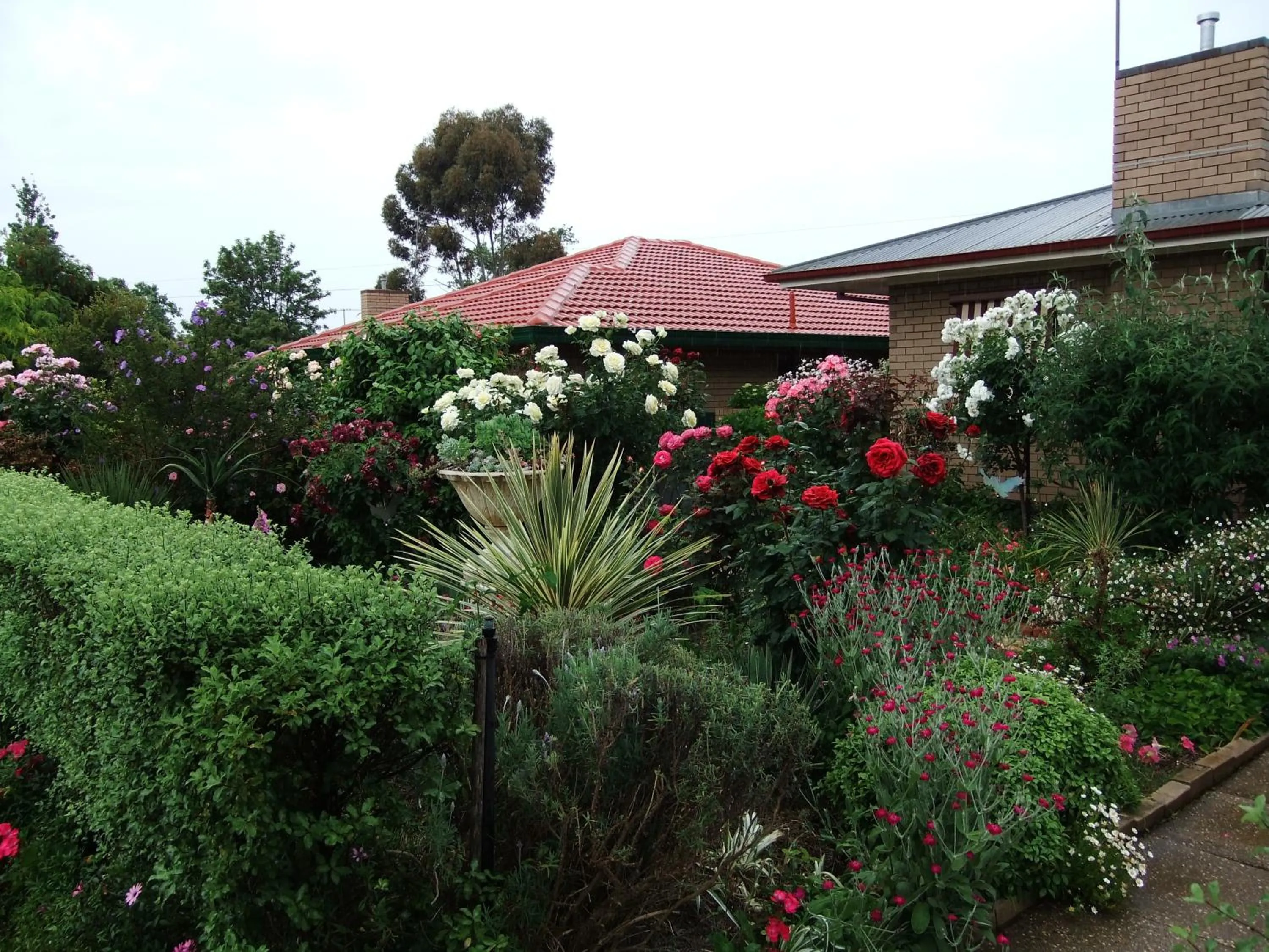Facade/entrance in Admurraya House Bed & Breakfast