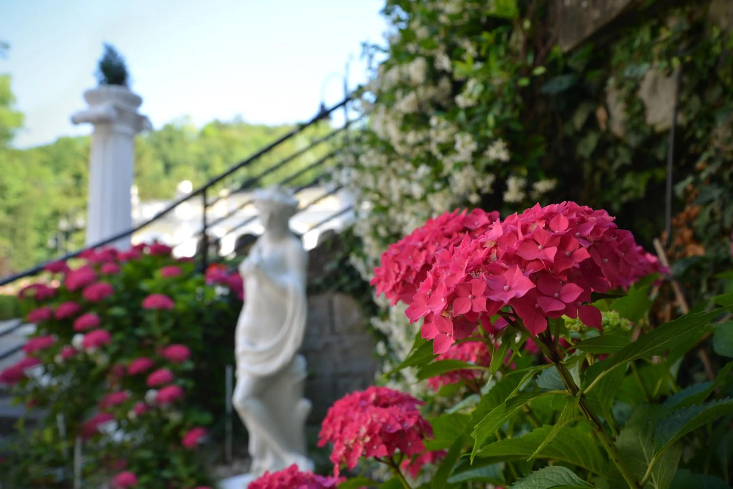 Spring in Hotel Salus