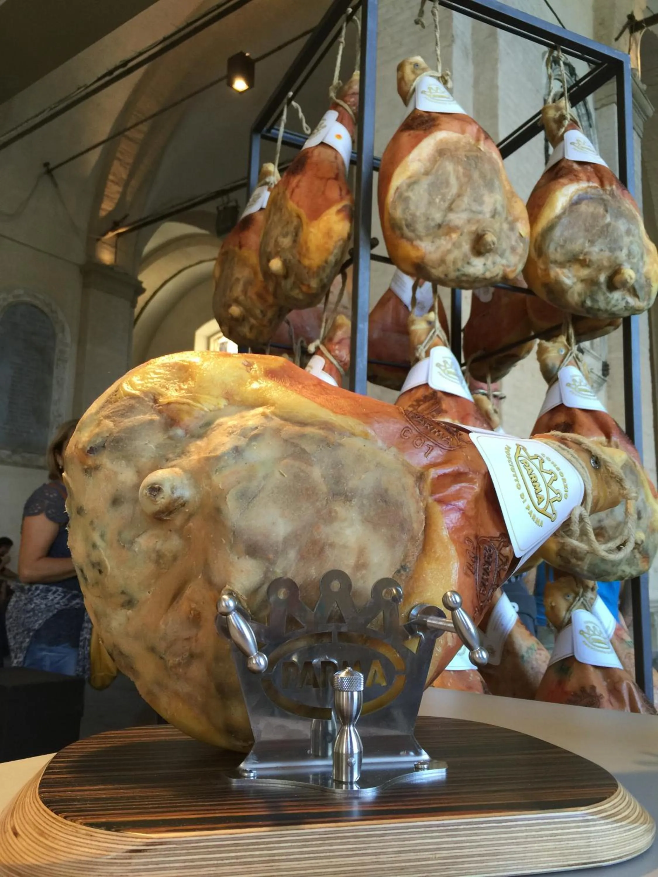 Activities in Hotel Salus