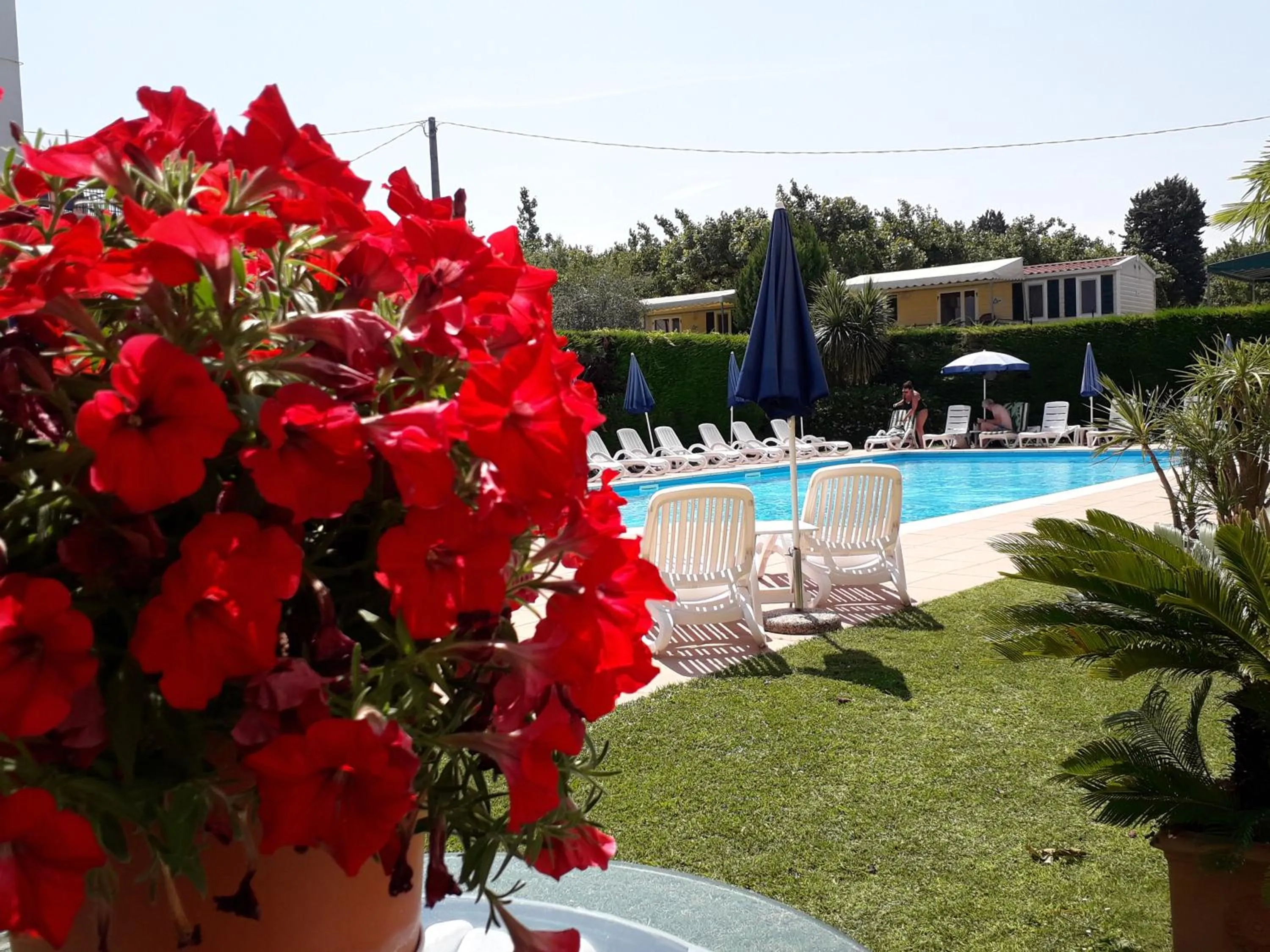 Swimming pool in Hotel Fornaci