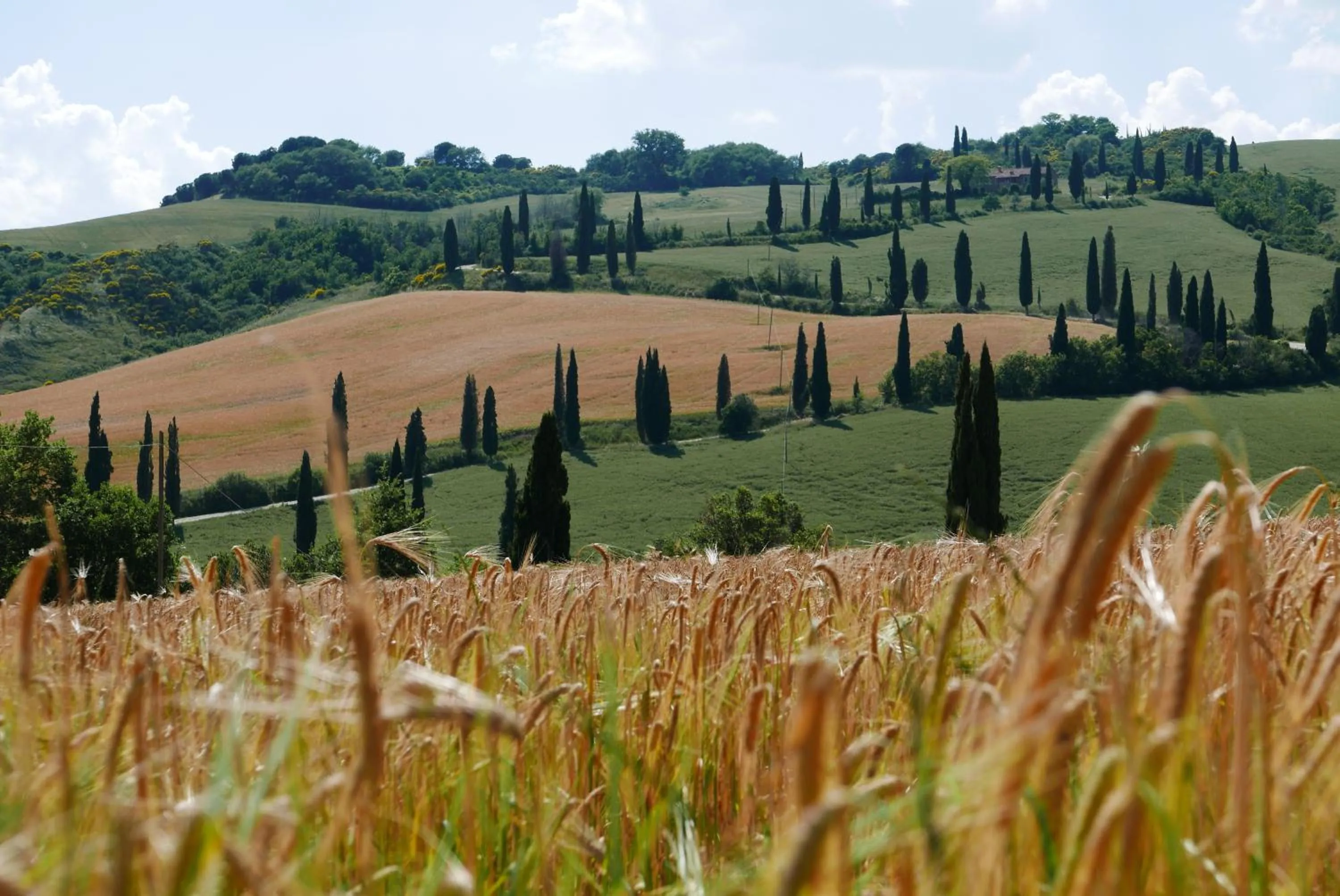 Natural landscape in Hotel Del Buono Wellness & Medical Spa