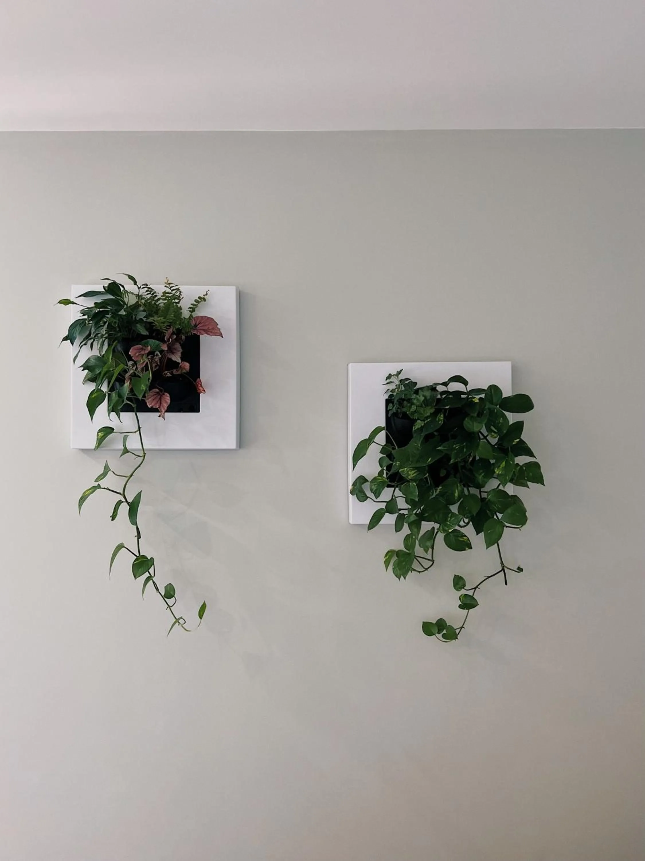 Decorative detail in Luna House & Cowork