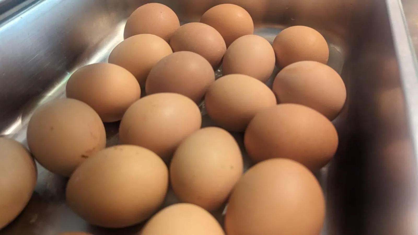 Breakfast in Pearl Hotel