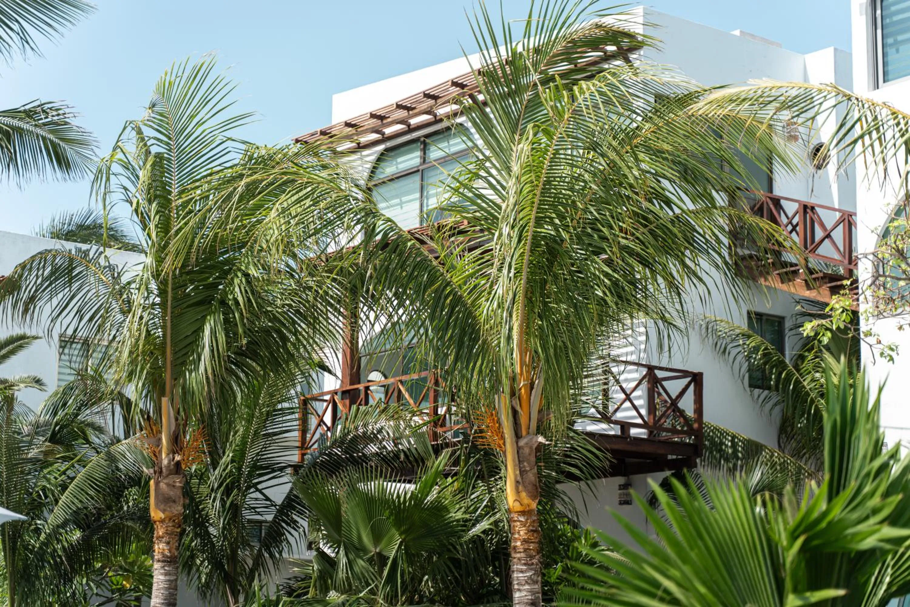 Off site in Villas Amanecer by Andiani Travel