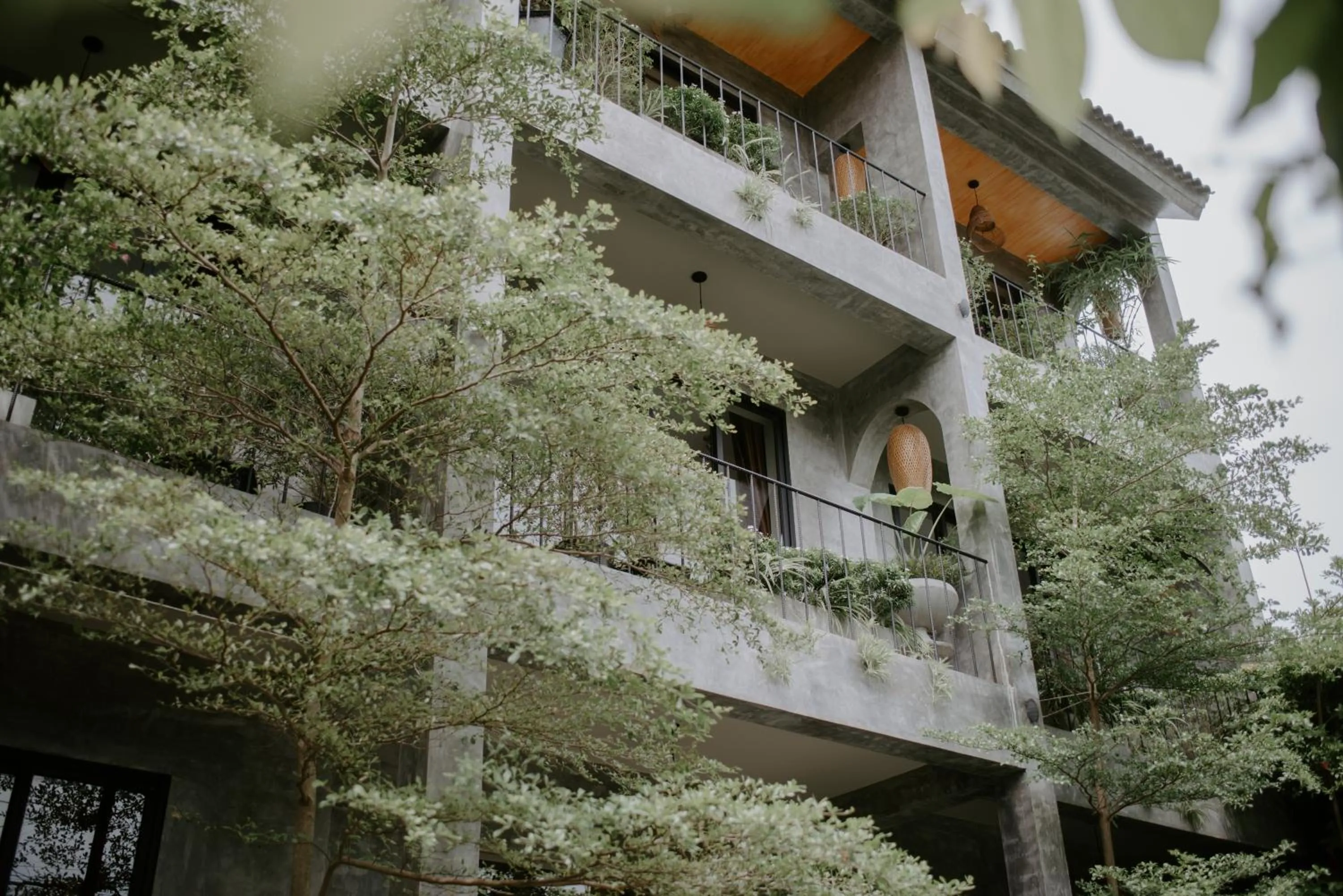 Property building in Nam An Mama Villa Hoi An