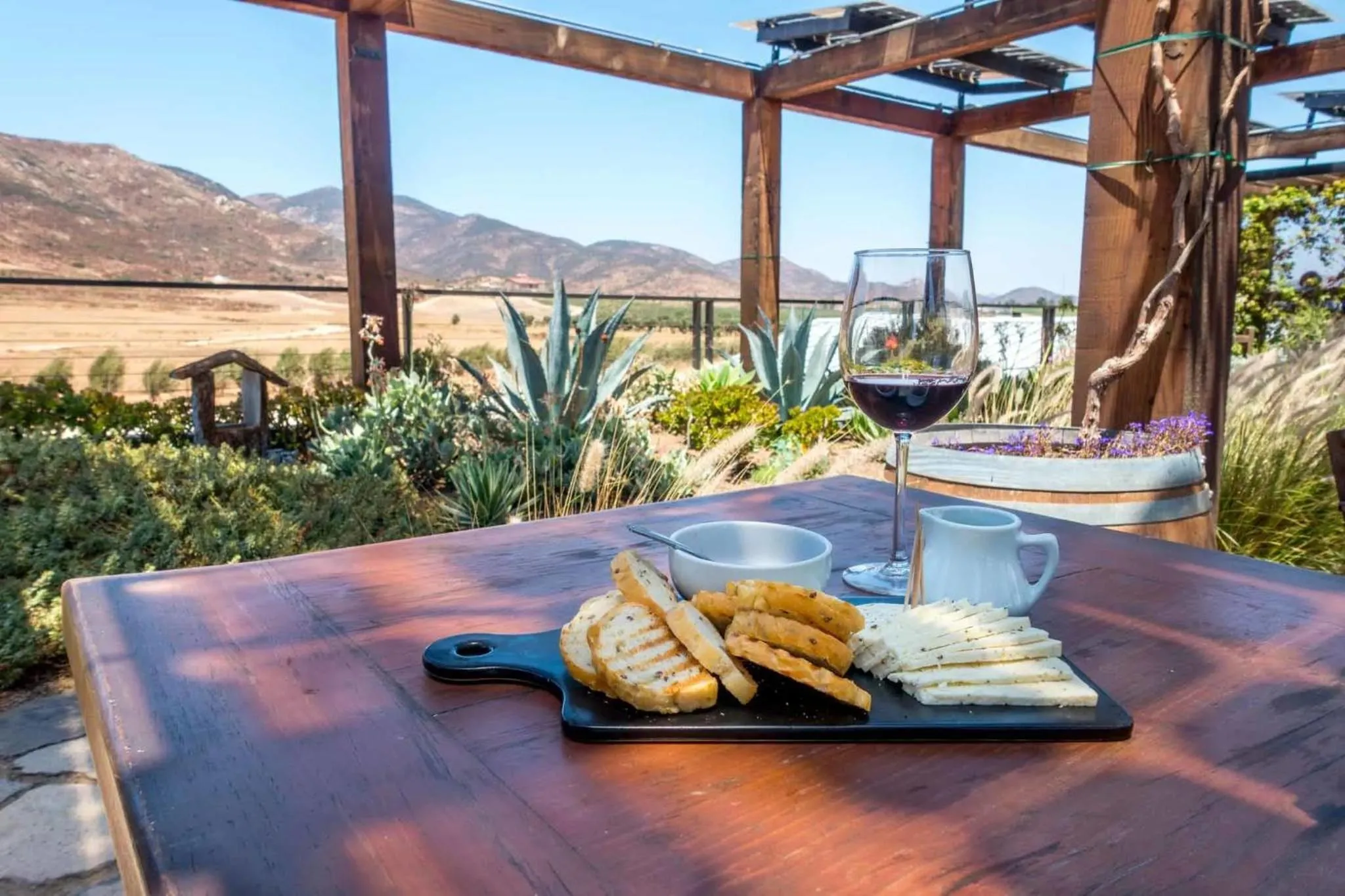 VIP in Ecovino Valle de Guadalupe