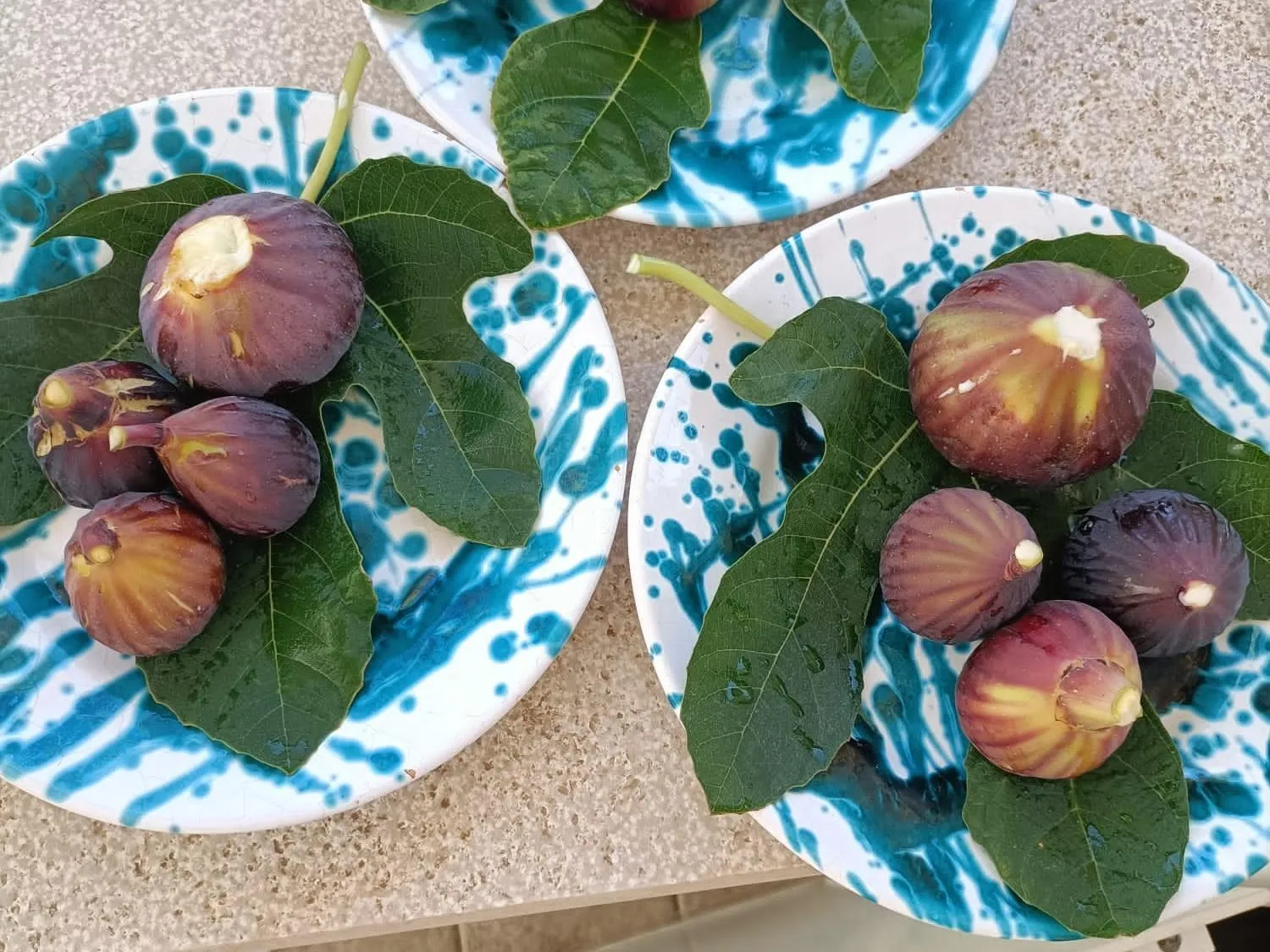 Food in Masseria Ella