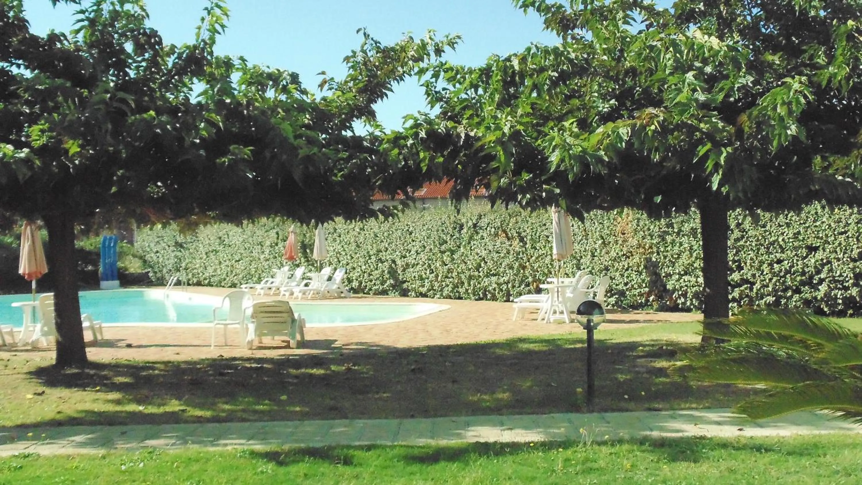 Garden in Hotel Isola Rossa