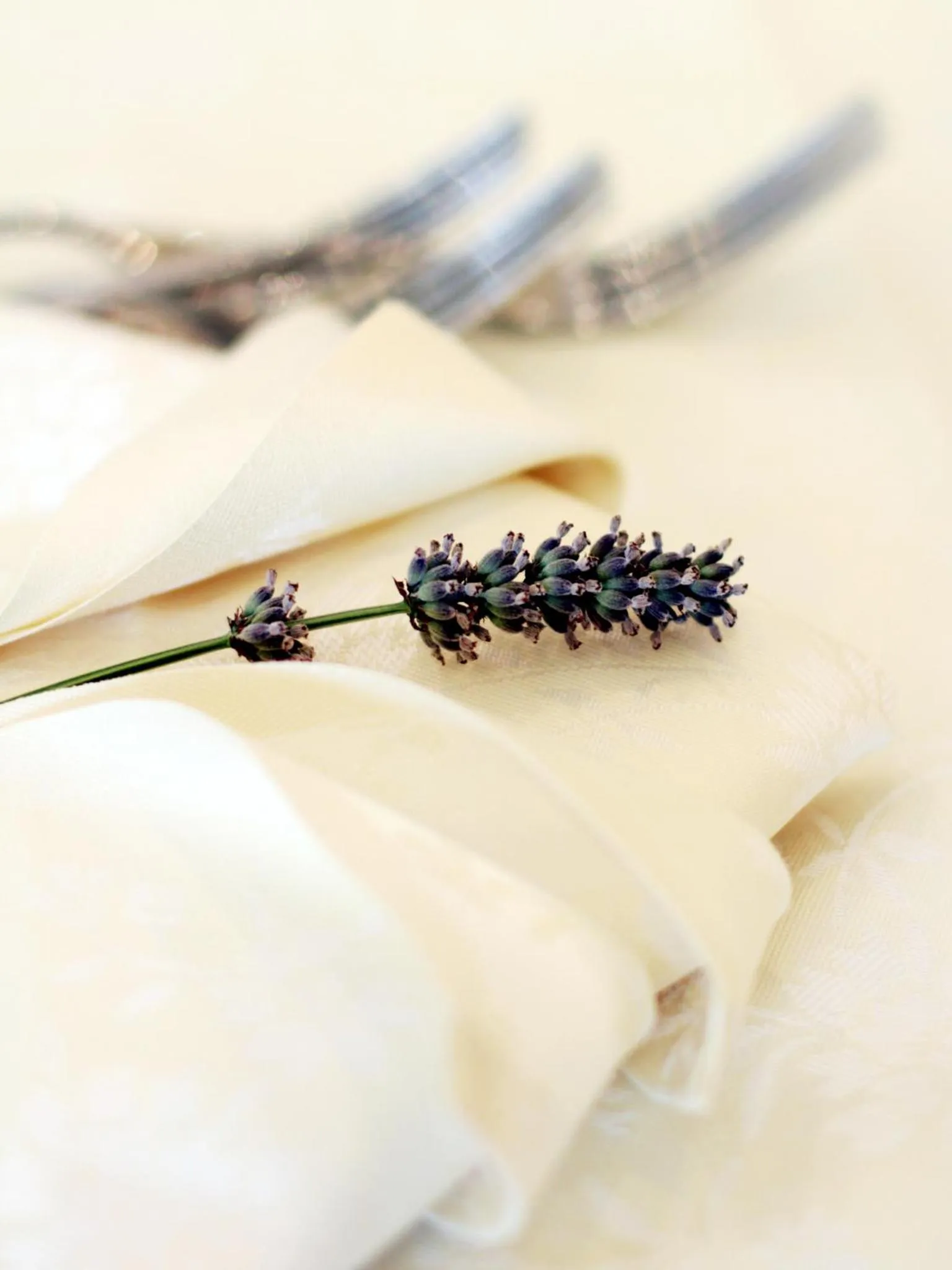 Decorative detail in Hotel La Pigna