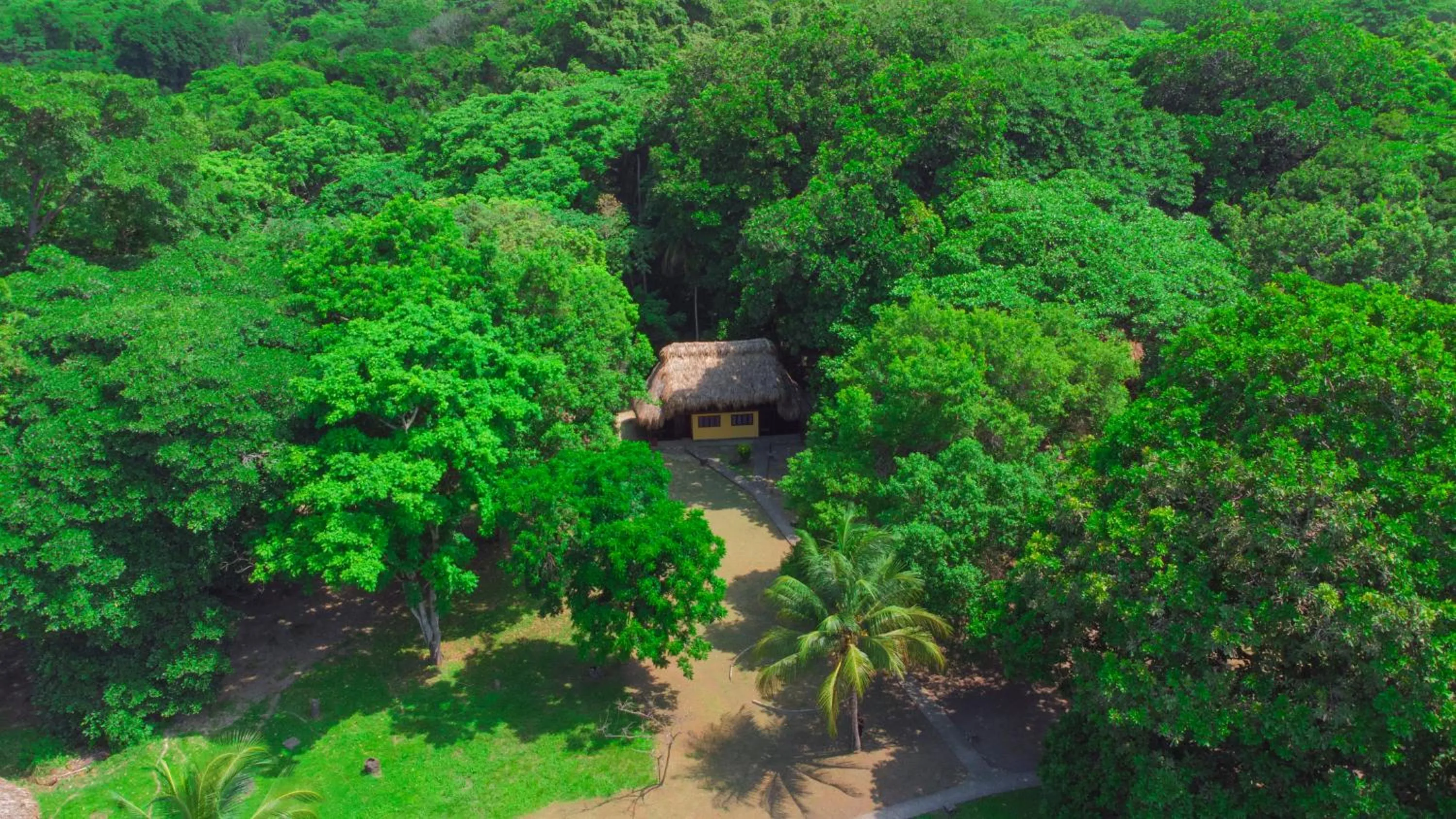 Natural landscape in Cabañas Tequendama - Parque Tayrona