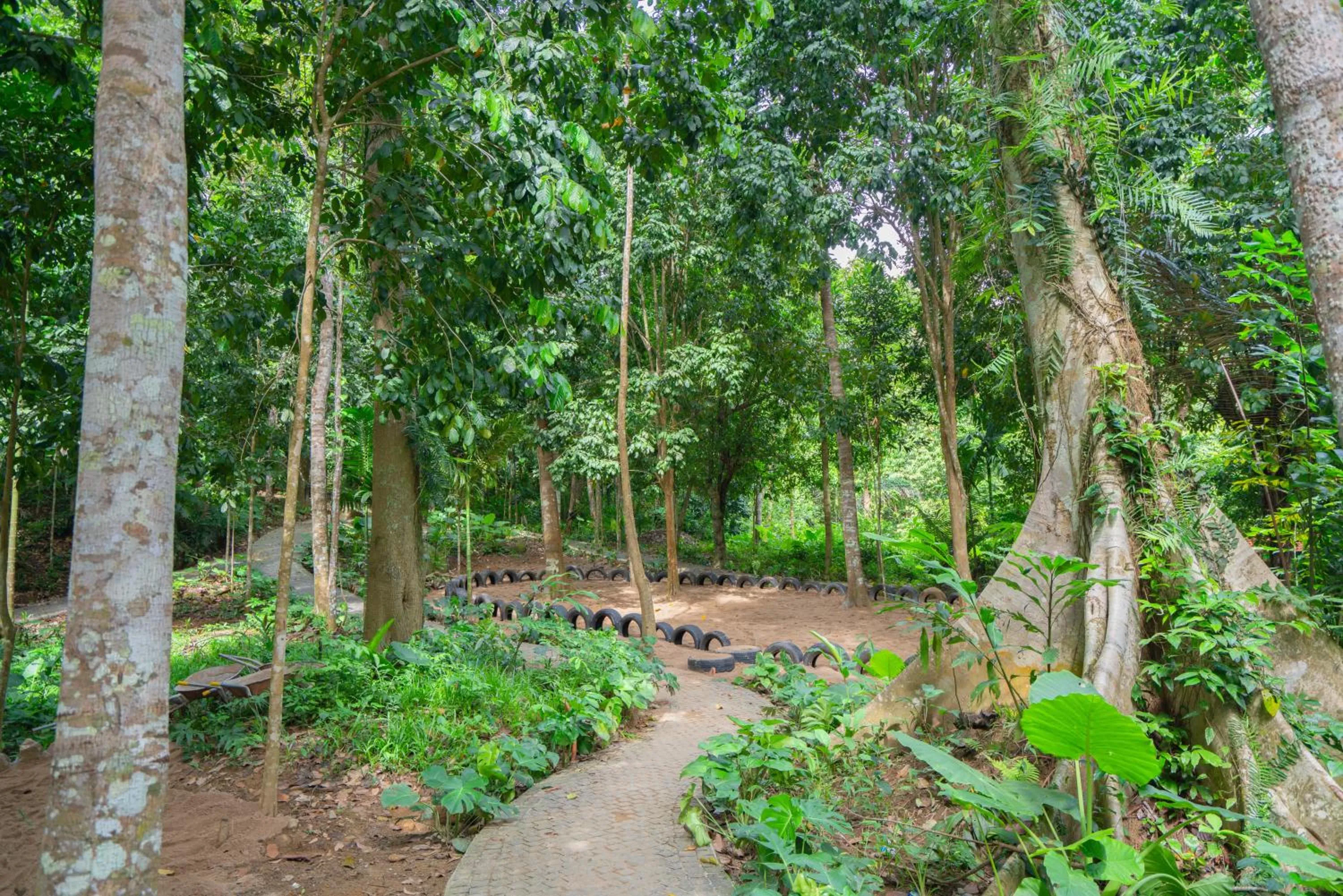 Natural landscape in Fivitel Cổng Trời Đông Giang - Fivitel Đông Giang Heaven's Gate