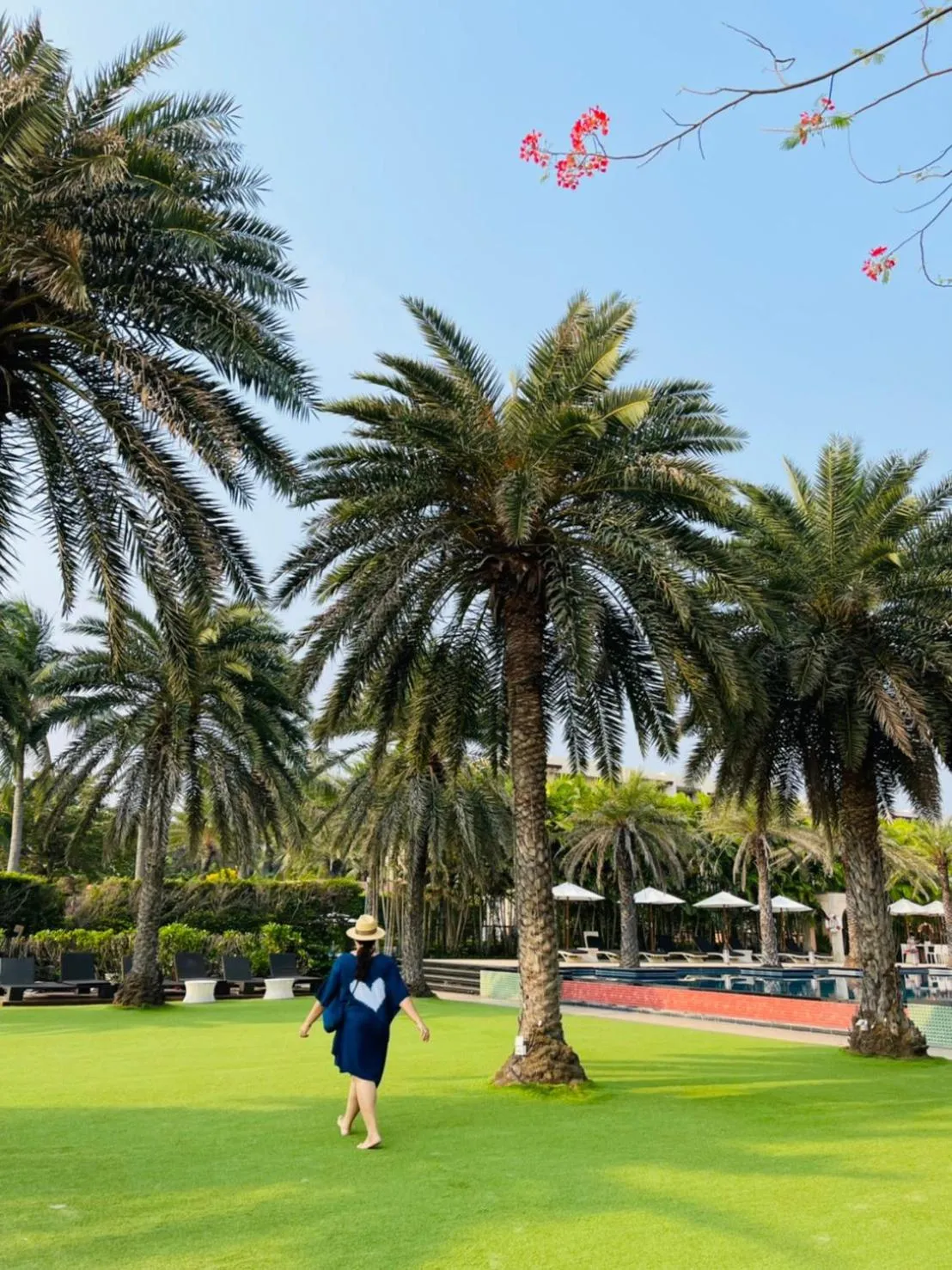 Garden in Baan Marakesh Hua Hin
