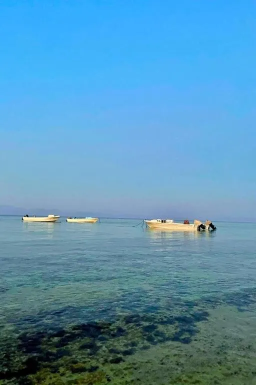 Day in Lucky palace Dahab