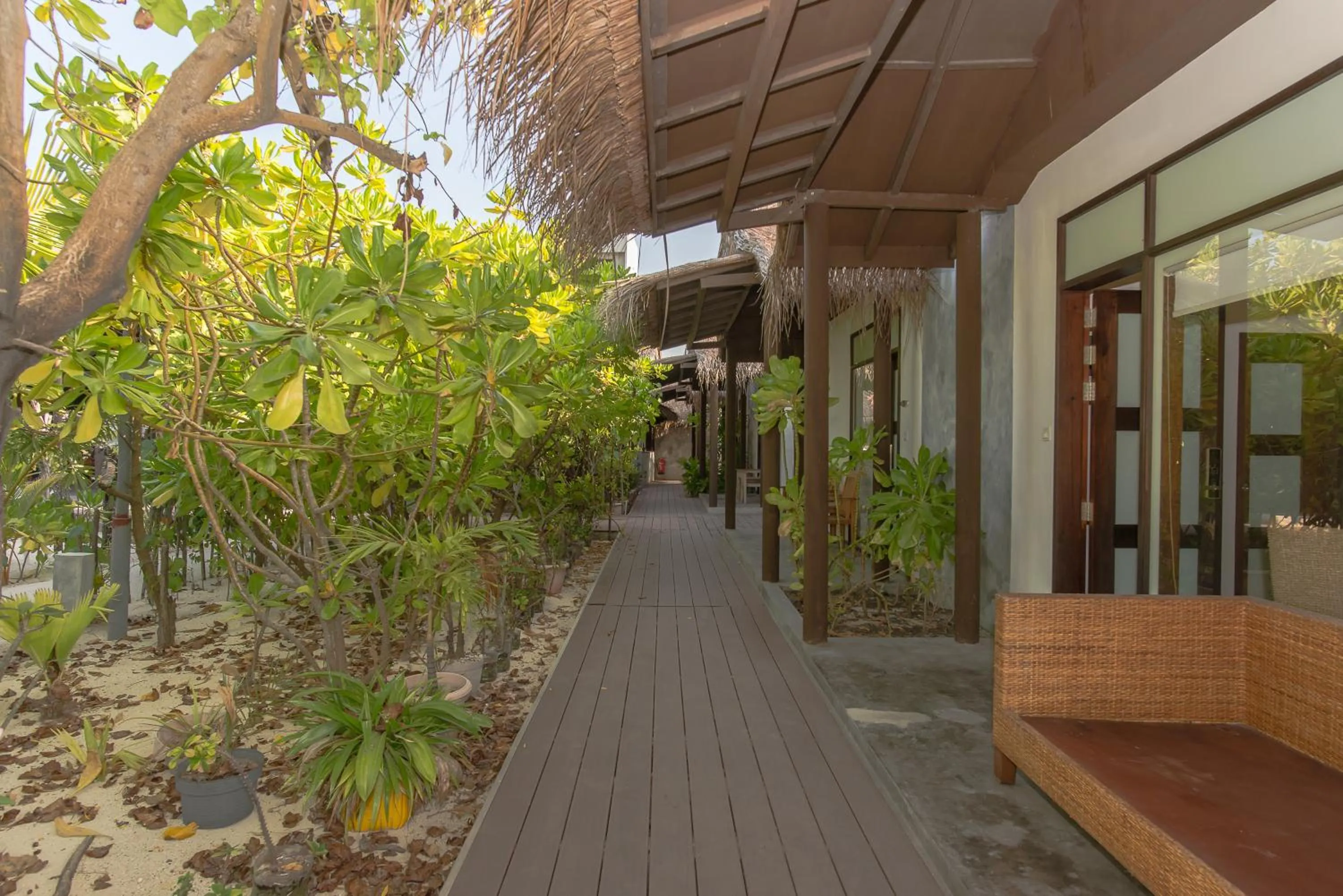 Garden in Premier Beach