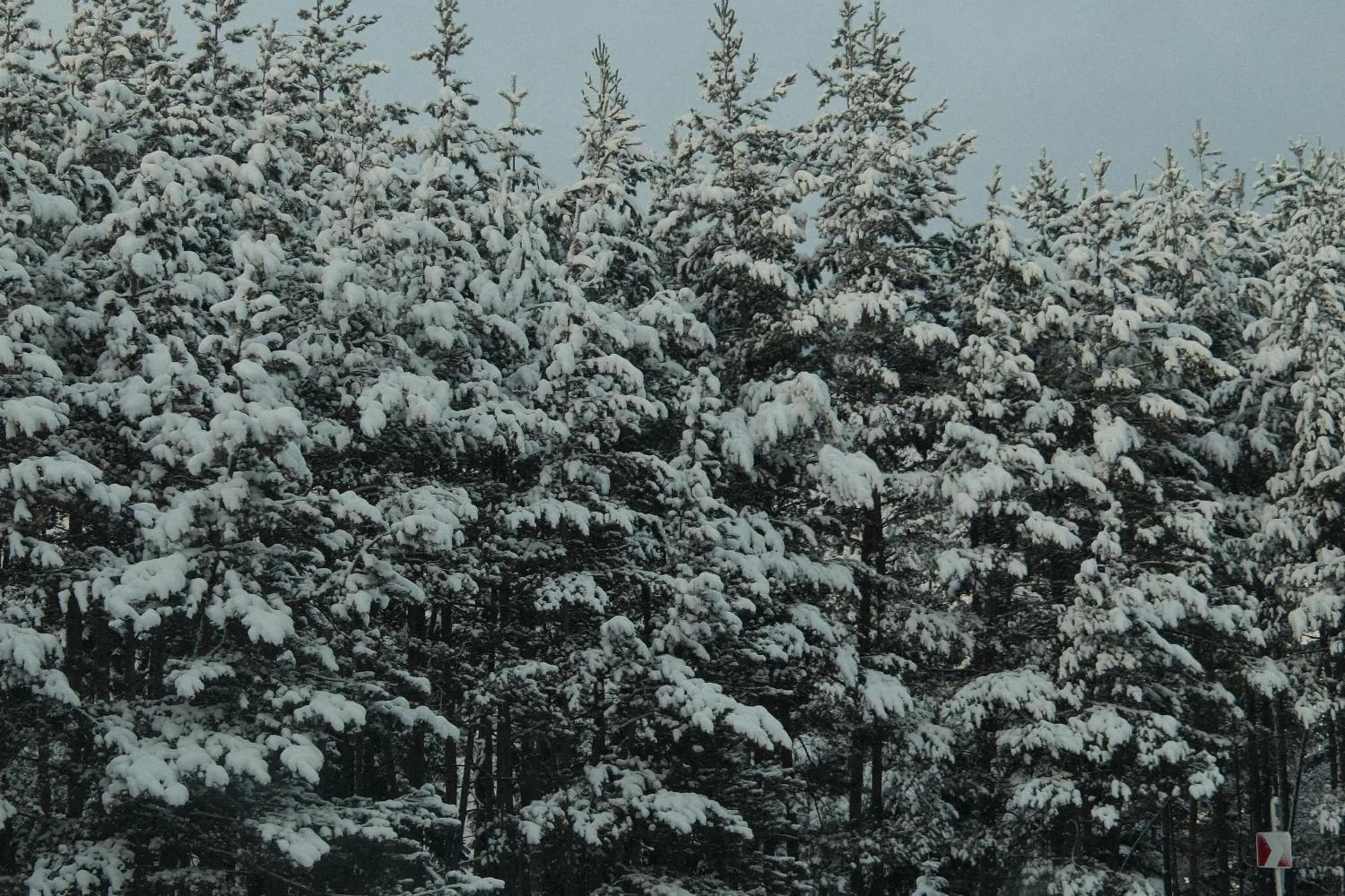 Natural landscape in Dialog Kokhta