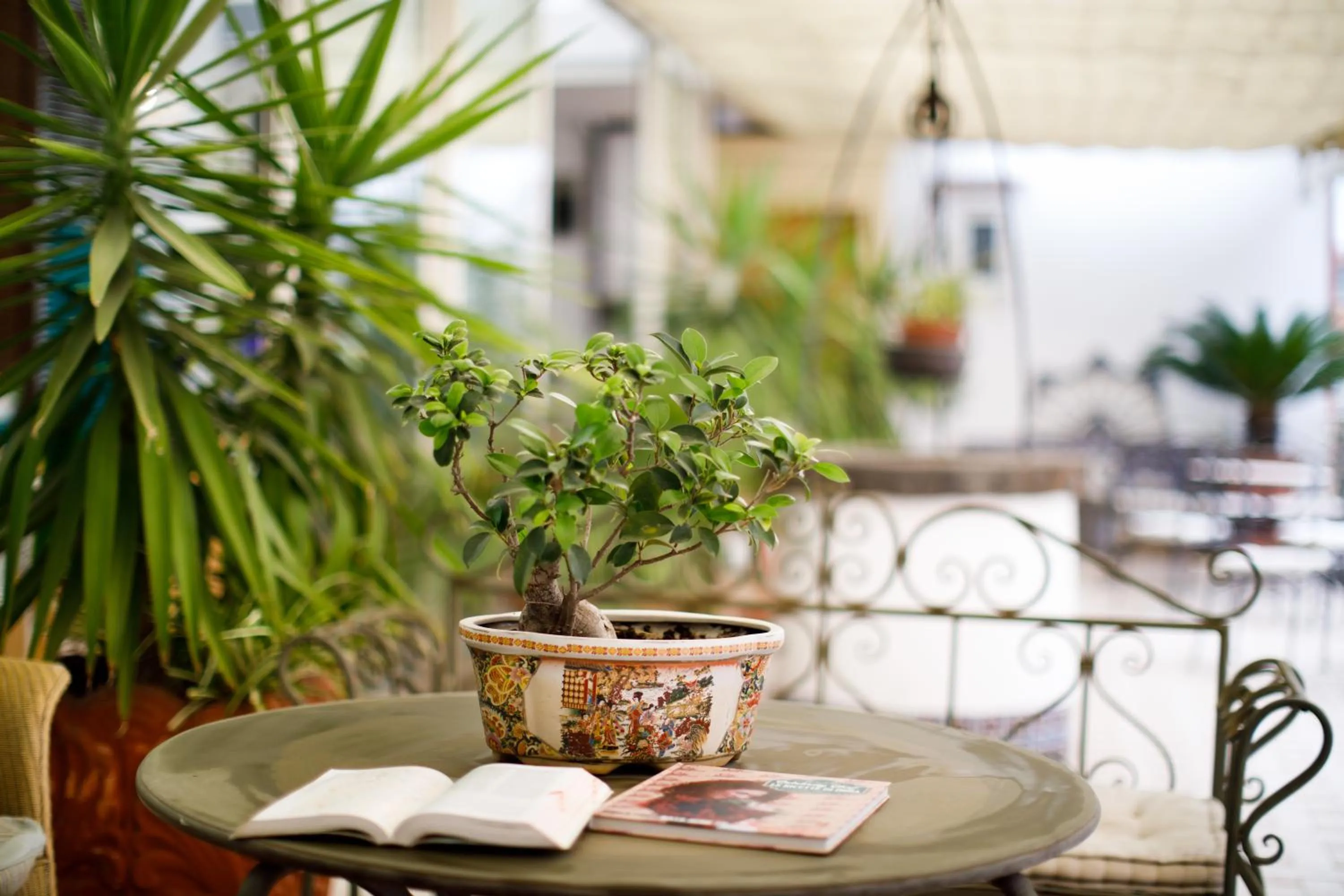 Balcony/Terrace in Hotel Del Corso