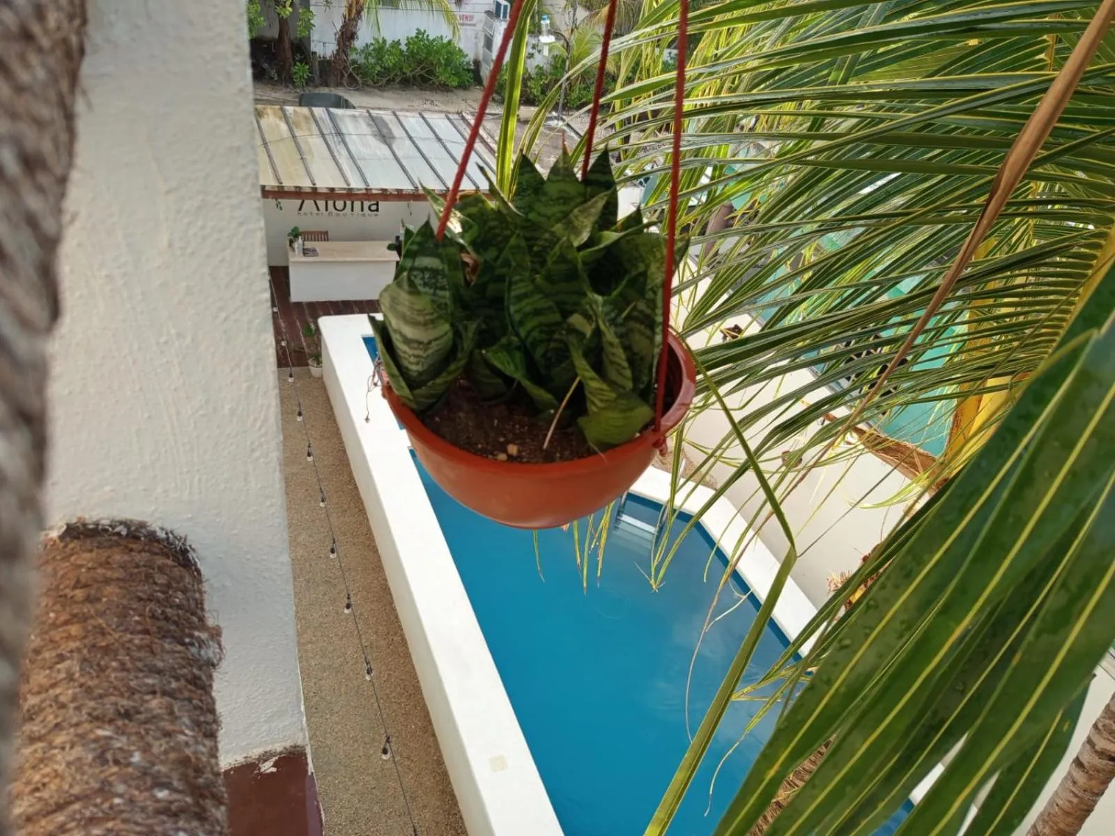 Day in Casa aloha-Isla Holbox