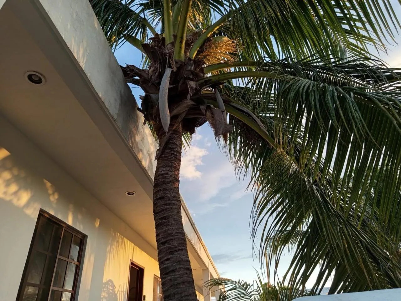 Property building in Casa aloha-Isla Holbox