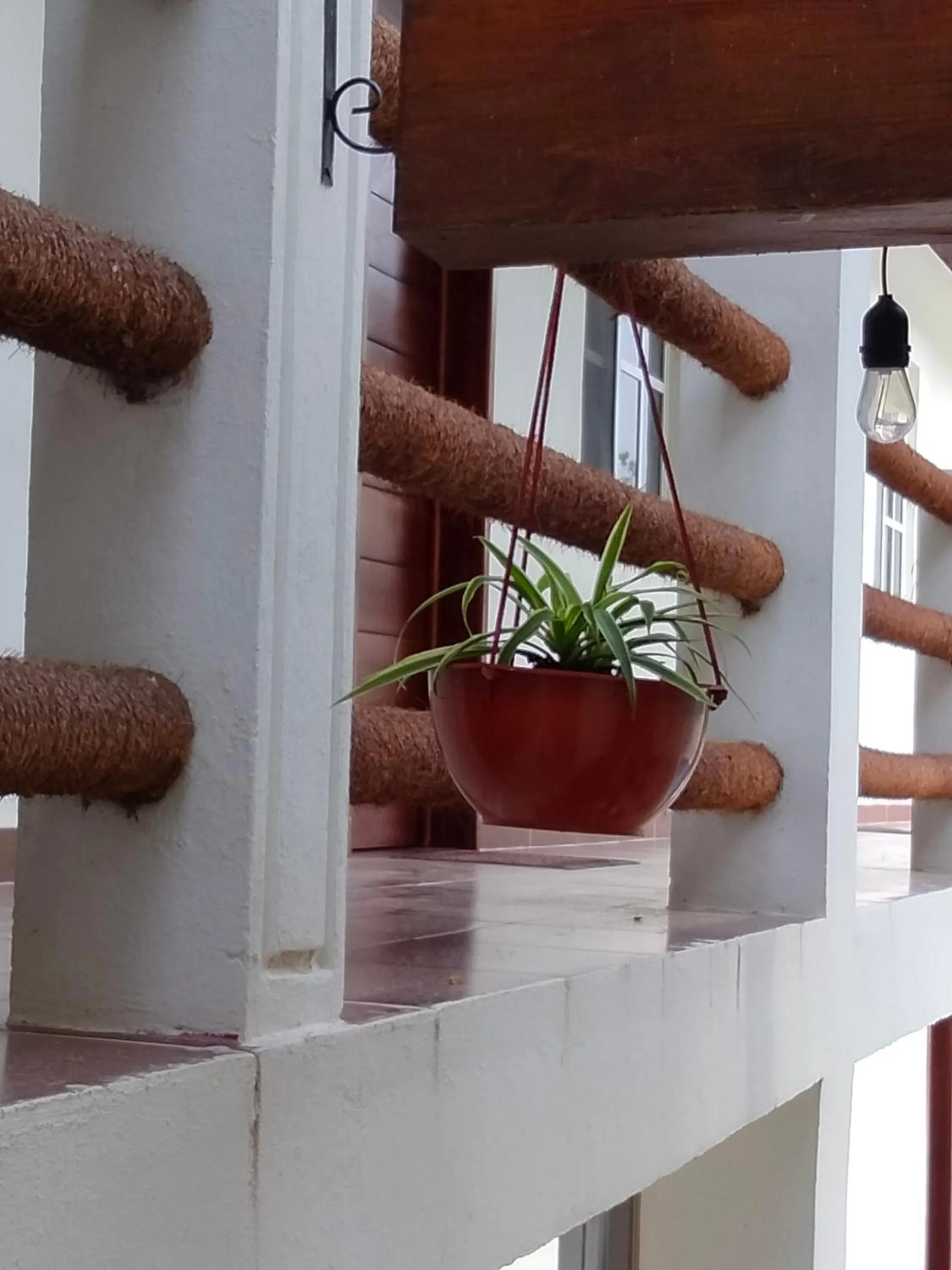 Property building in Casa aloha-Isla Holbox